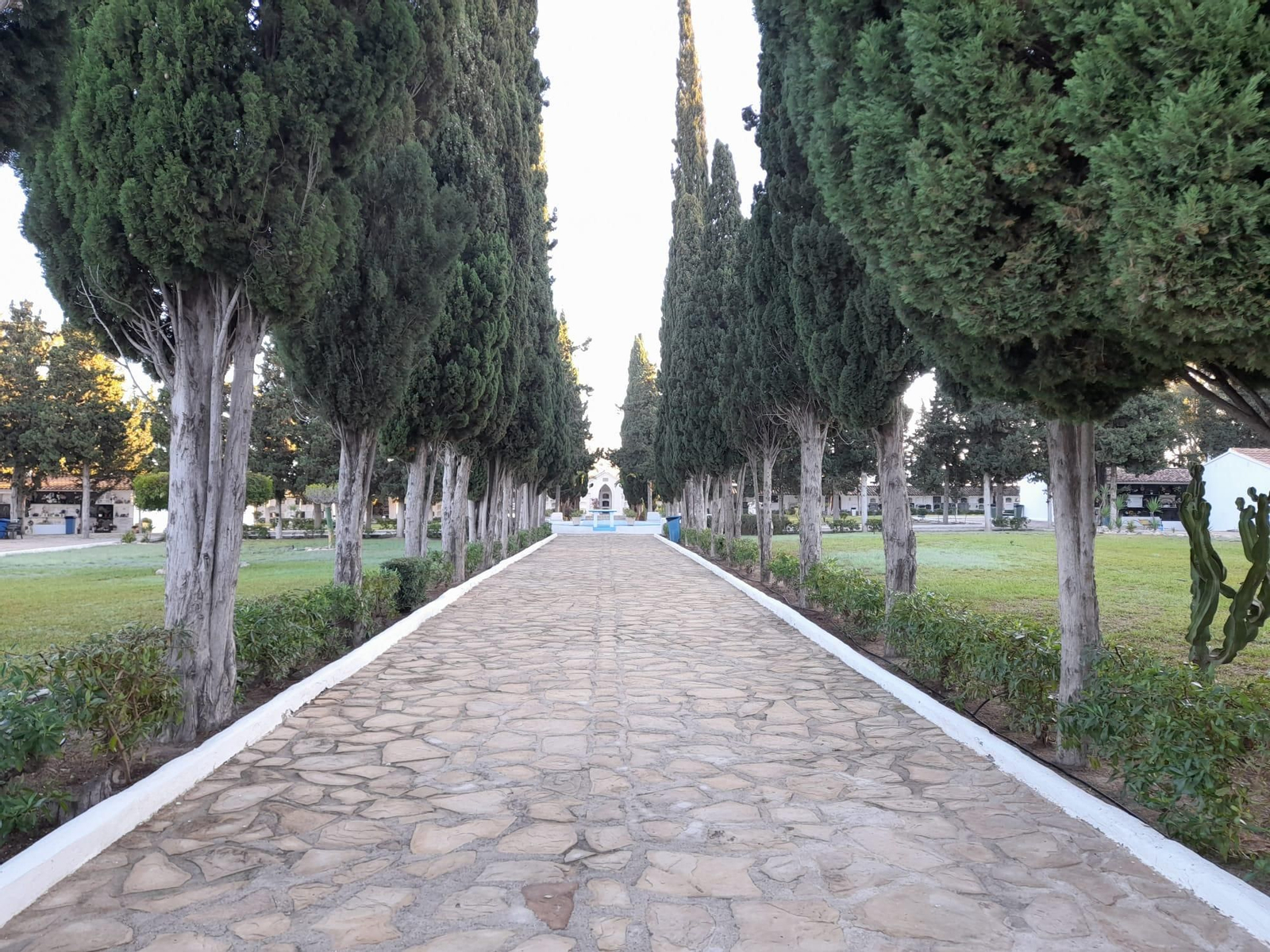El cementerio municipal de Mojácar, listo para la festividad de Todos los Santos