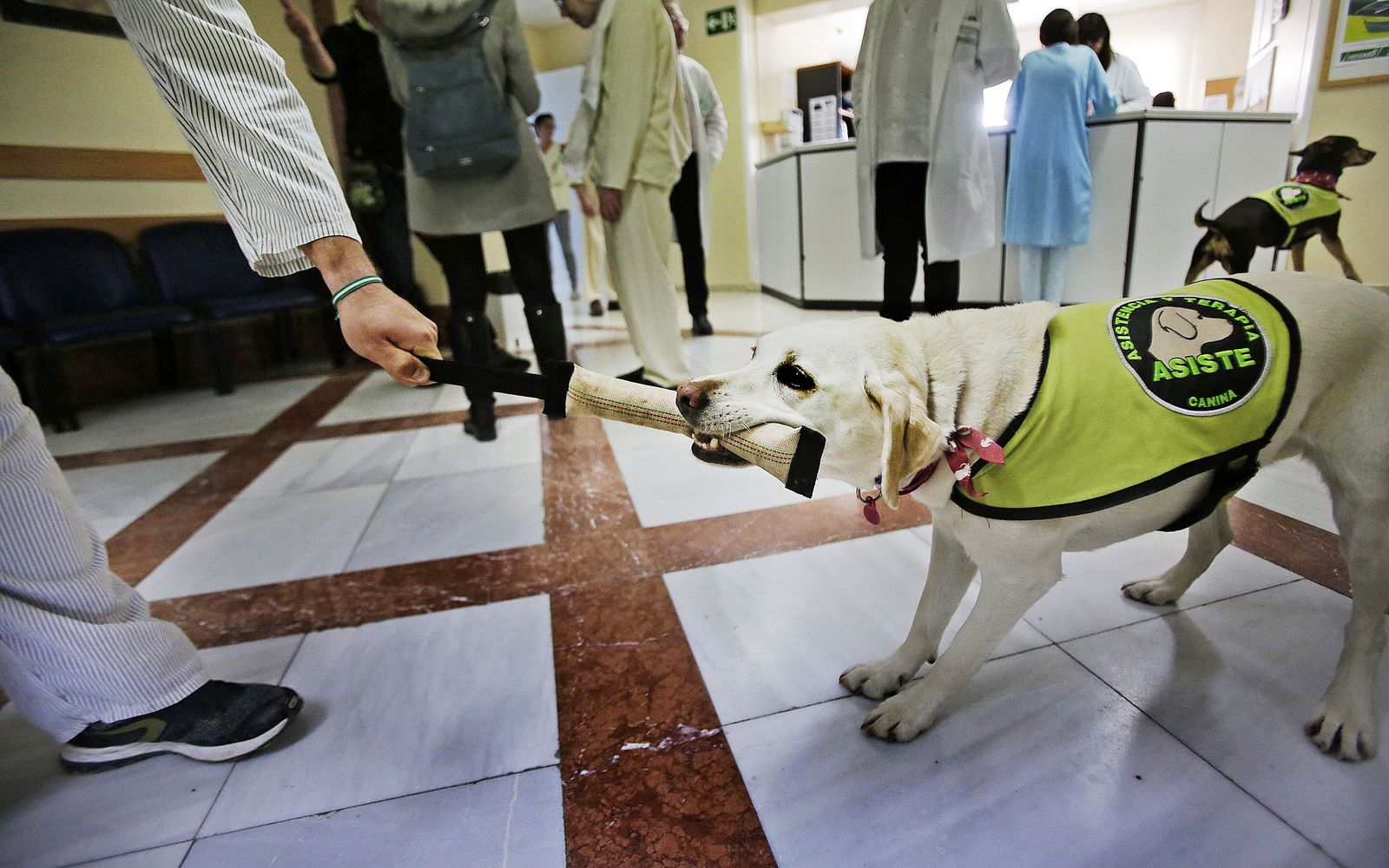 Unidad psiquiátrica del Clinico de Puerto Real