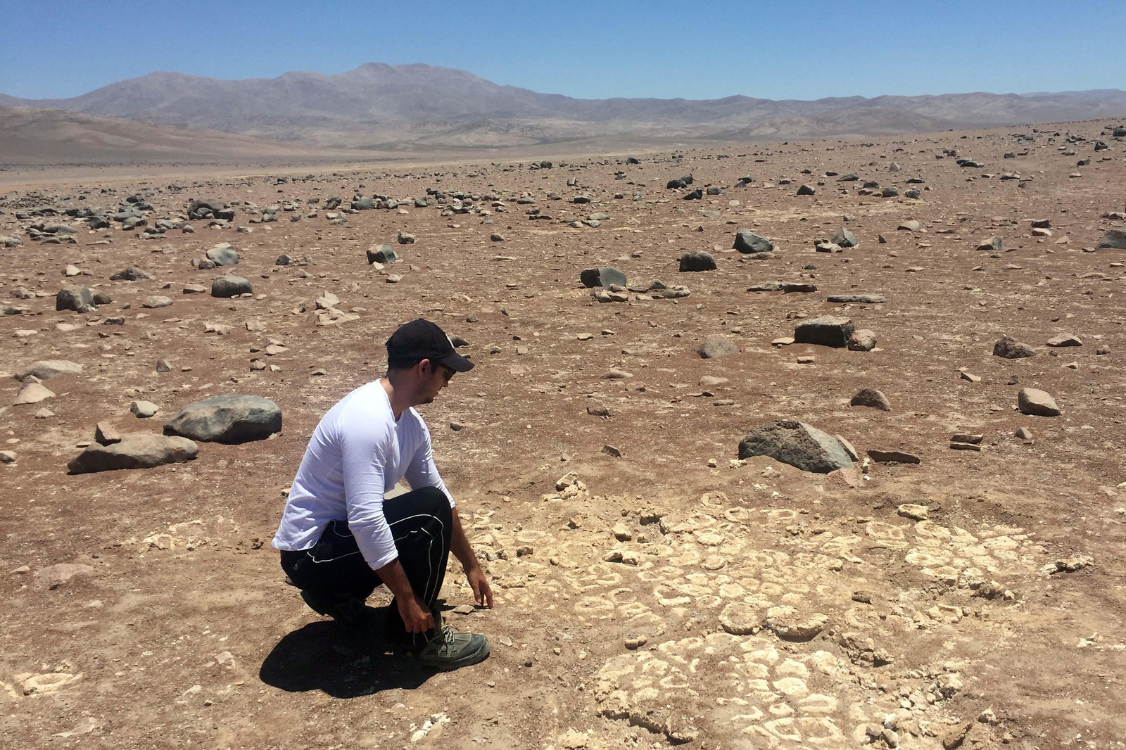 Investigación de la UAL en el desierto de Atacama (Chile).