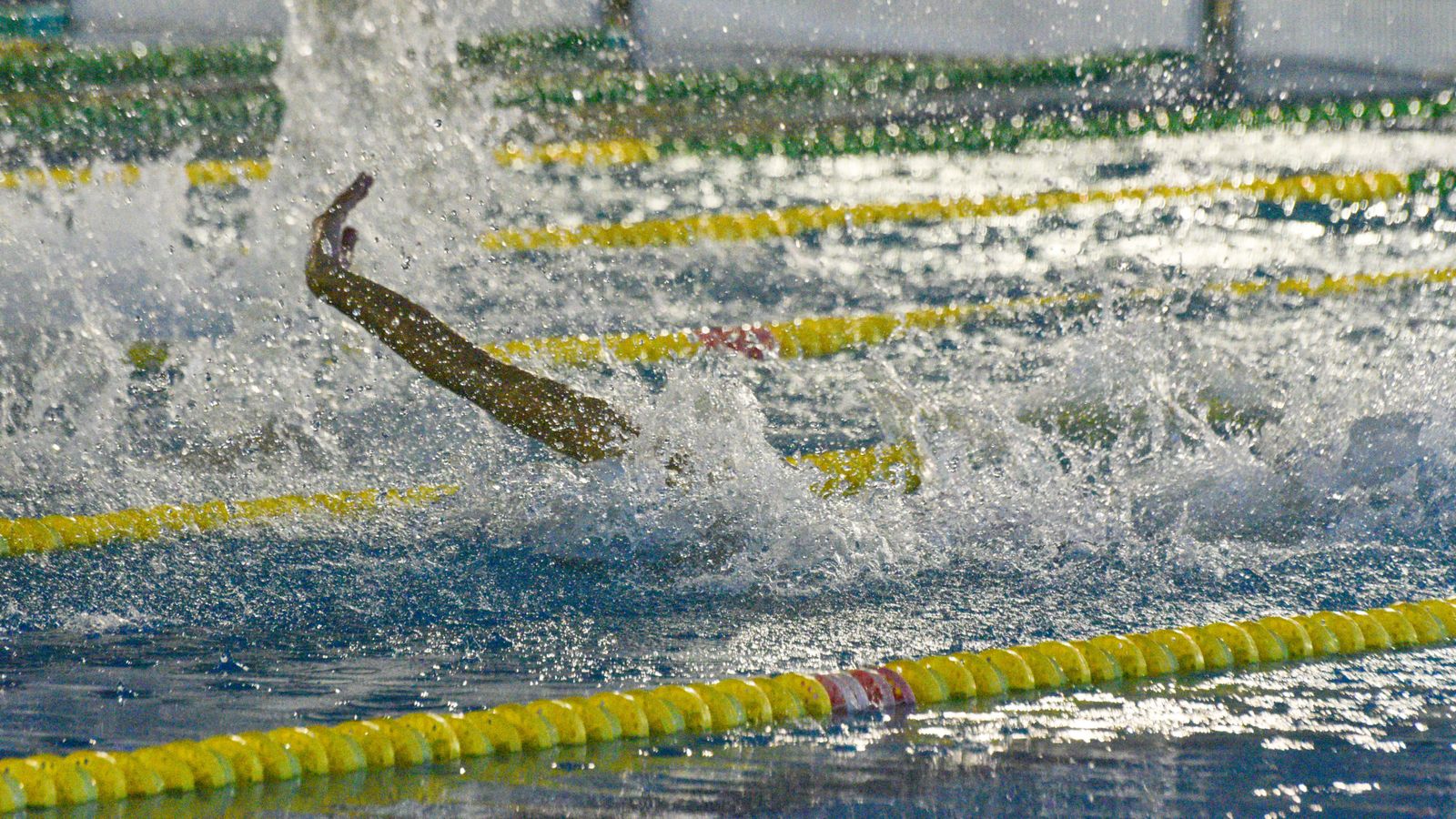 Fotos del Torneo de natación Campo de Gibraltar, en Los Barrios