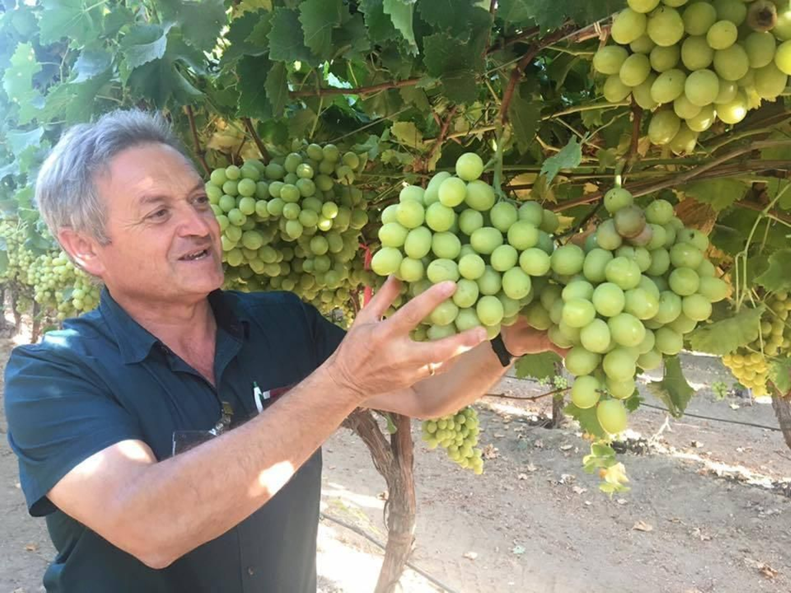"Desde un municipio de menos de 1.800  habitantes se puede llegar a todo el mundo"