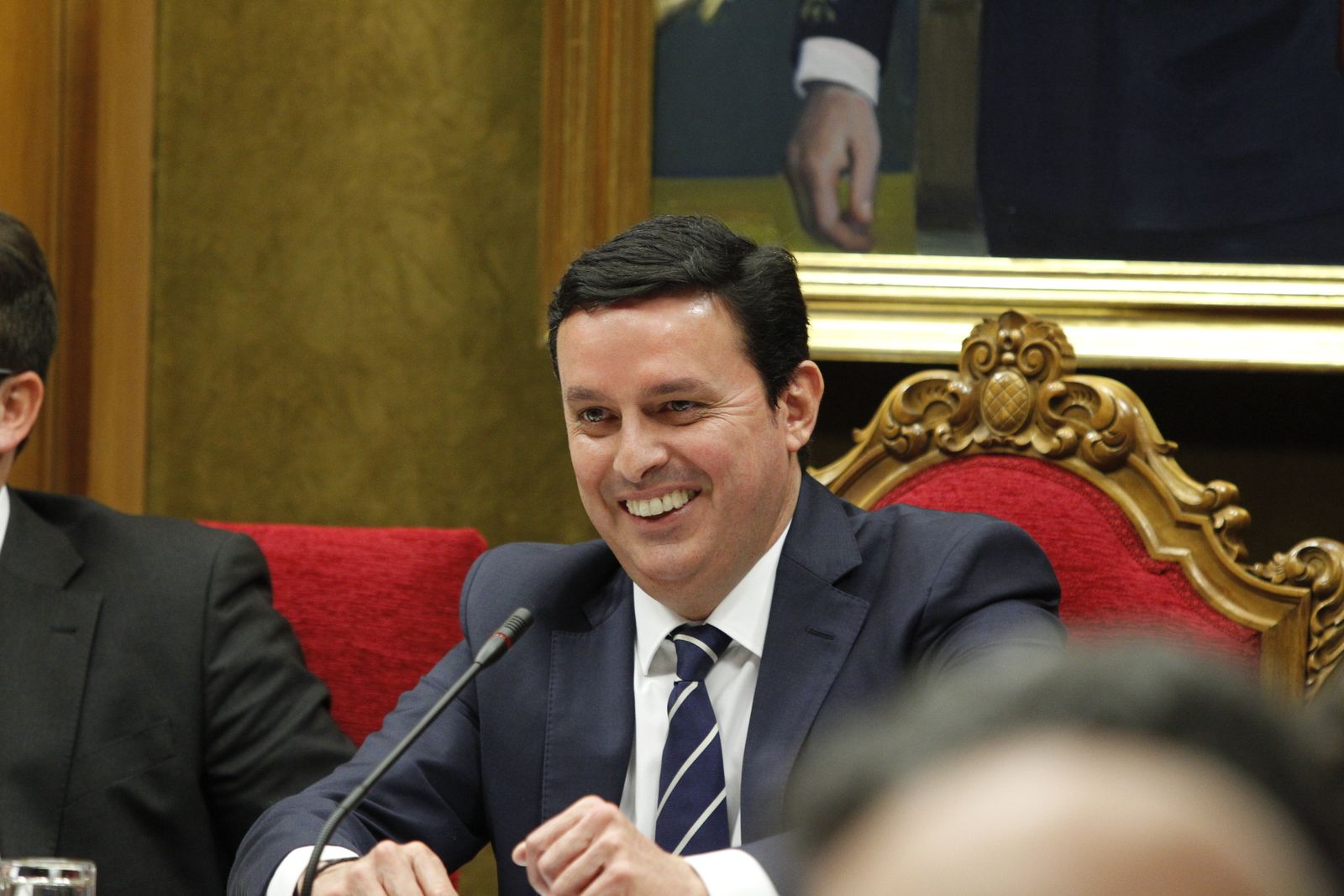 Fotogalería Pleno Ordinario Diputación de Almería