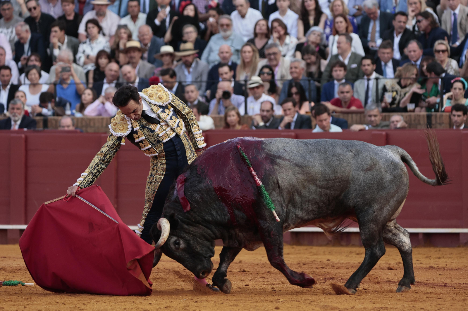 las imágenes del festejo