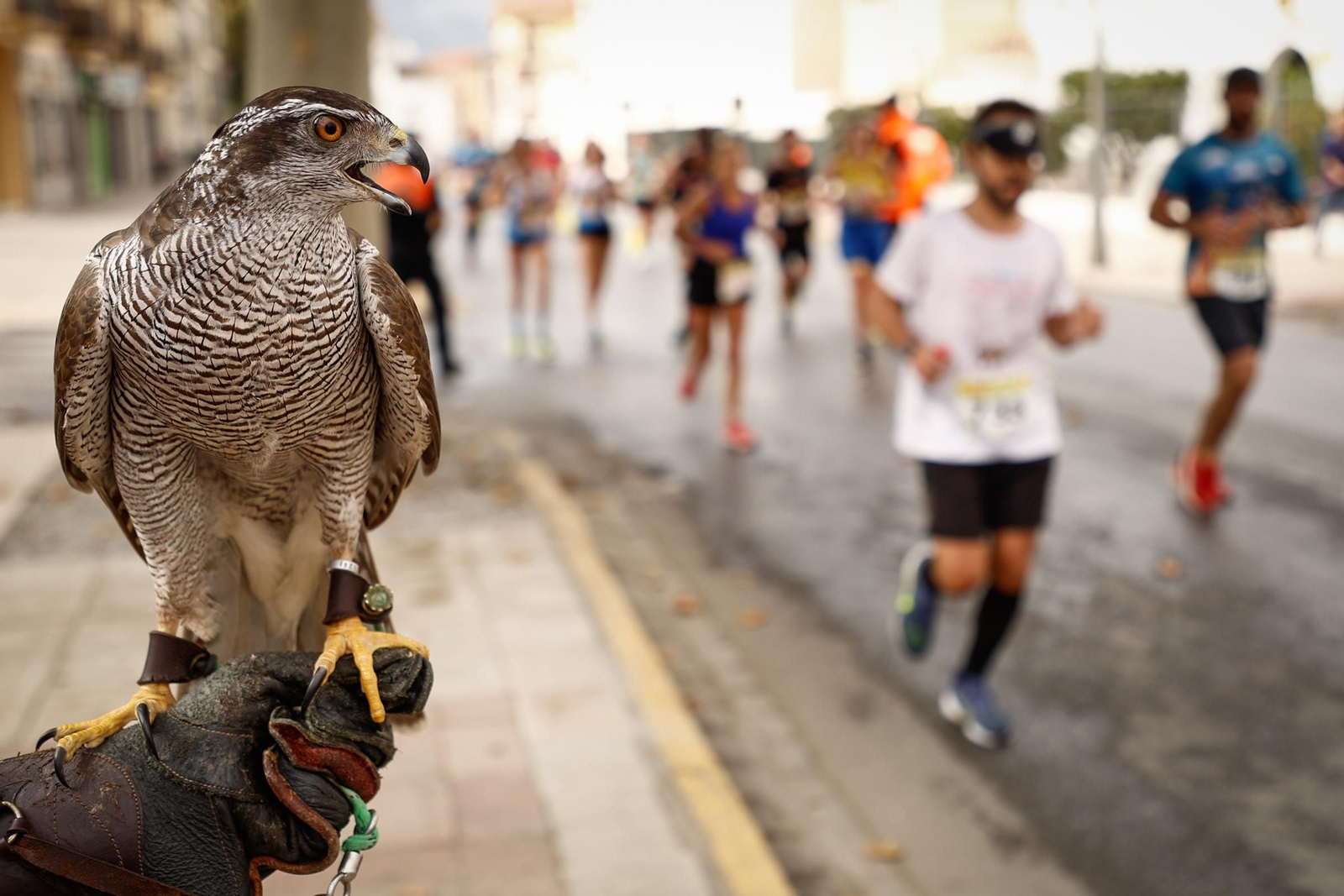 Encuéntrate en la última prueba del Gran Premio de Fondo de la Diputación
