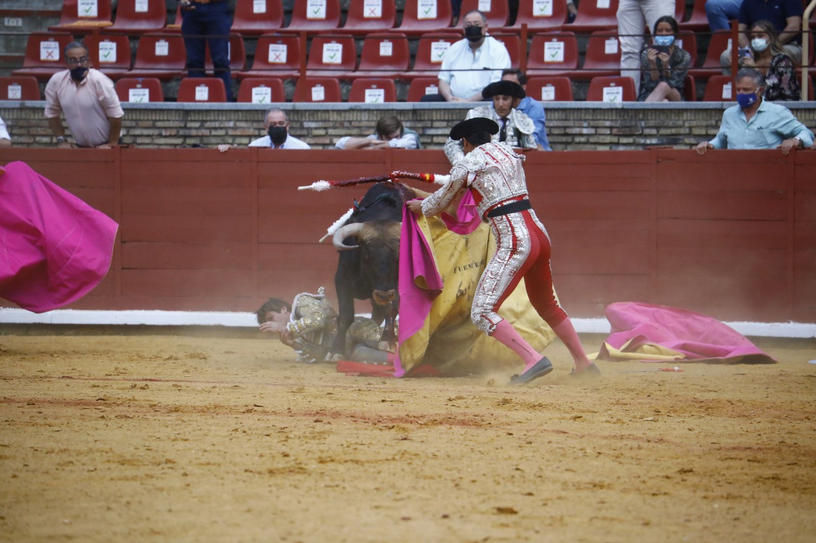 Las fotografías de la novillada con picadores de la Feria Taurina de Córdoba