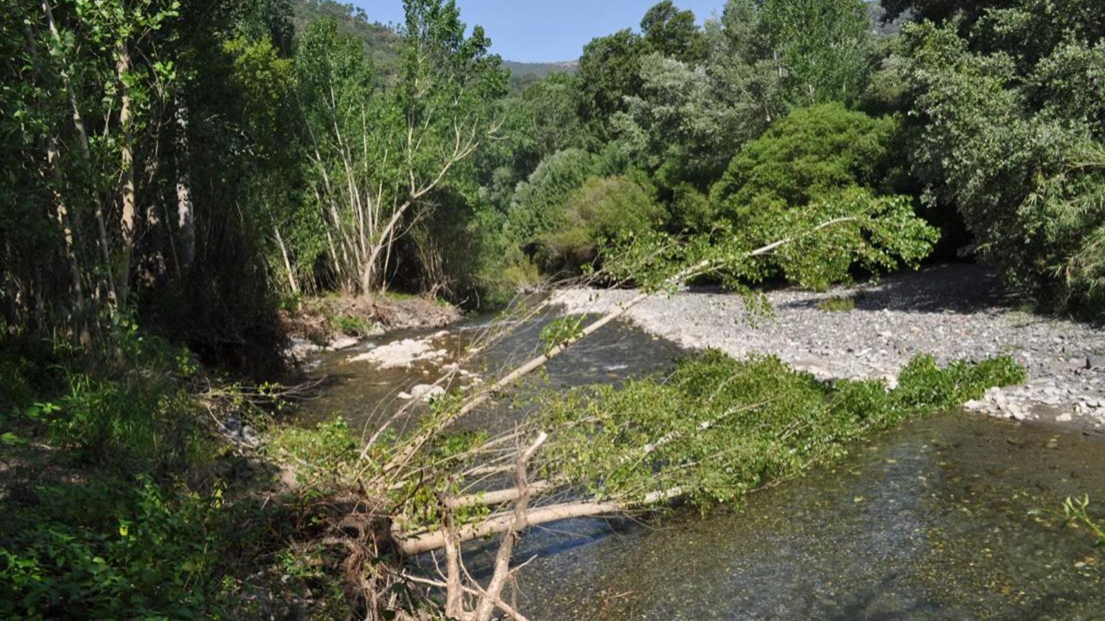 Otro perspectiva de la zona de la Escribana y el río Genal. Otro perspectiva de la zona de la Escribana y el río Genal.
