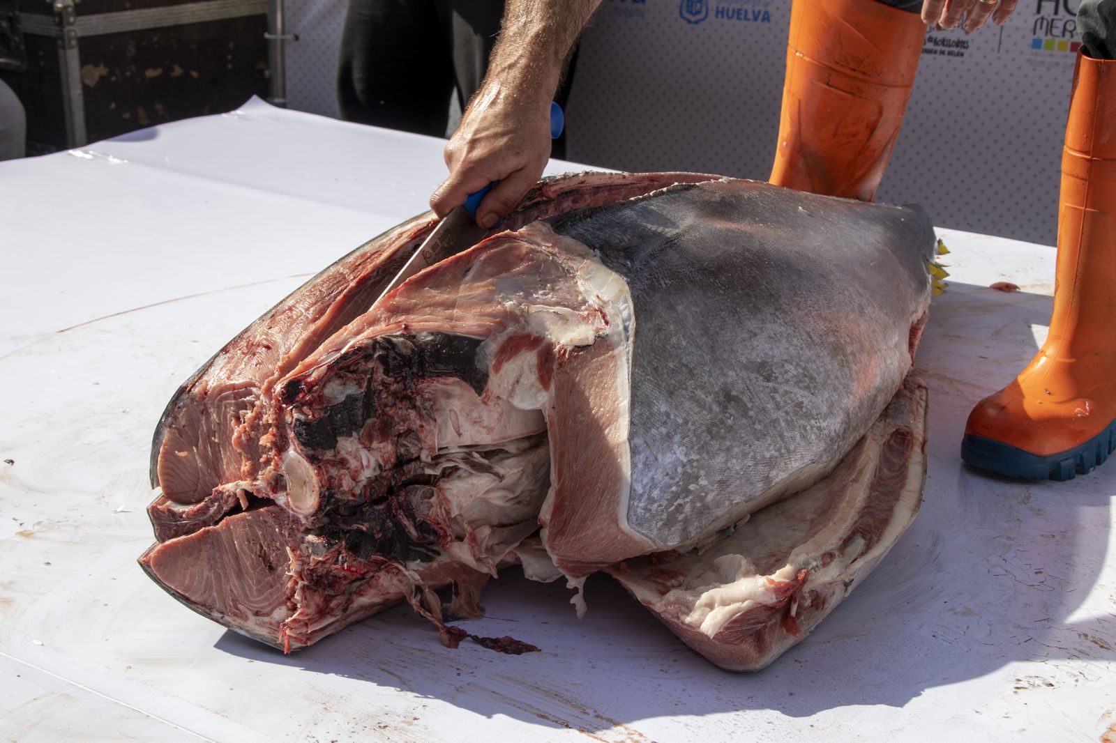 Muestra del Atún en Huelva