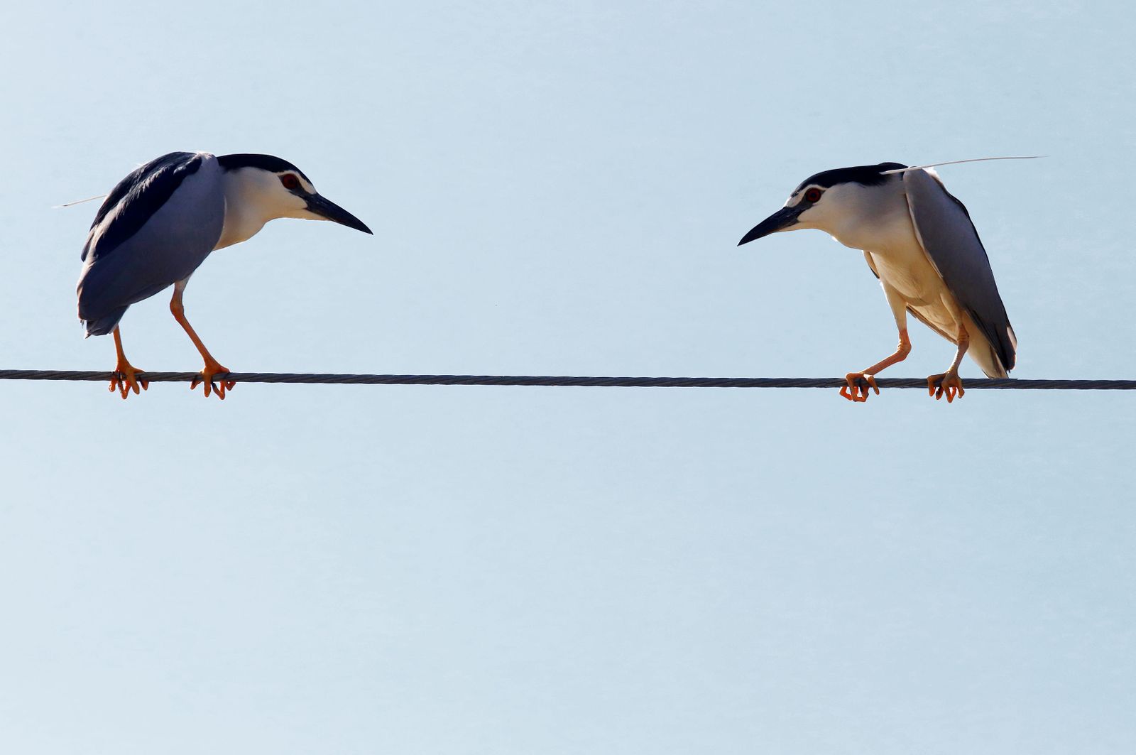 Imágenes del sábado 15 de mayo en Huelva