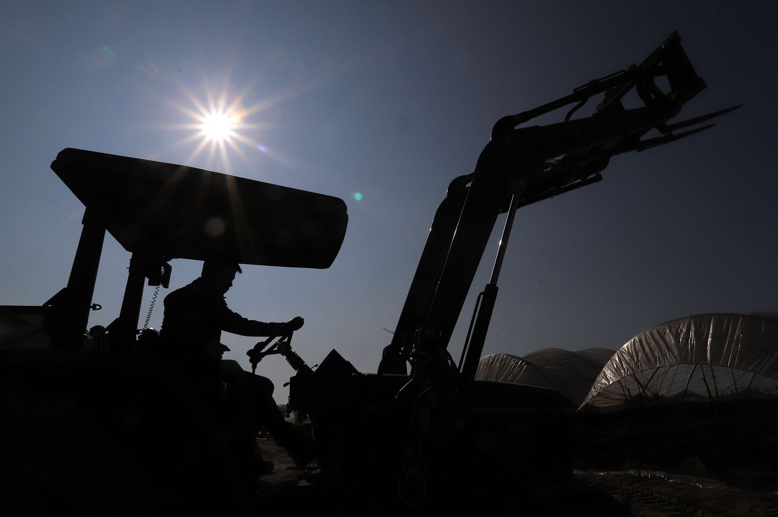 Imágenes de la realidad del trabajo en el campo
