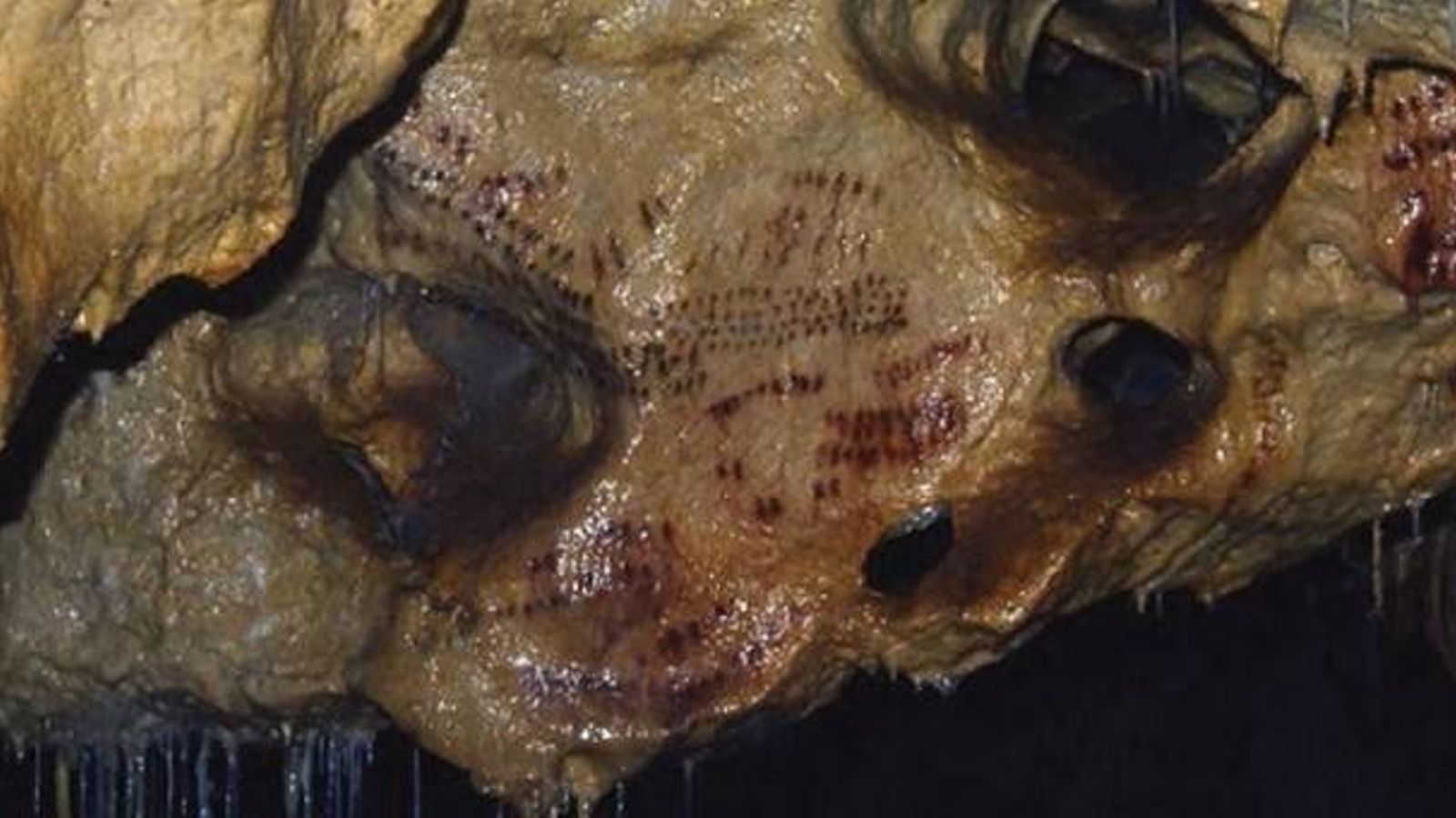 Arte rupestre en el centro de interpretación de las Cuevas de La Araña.