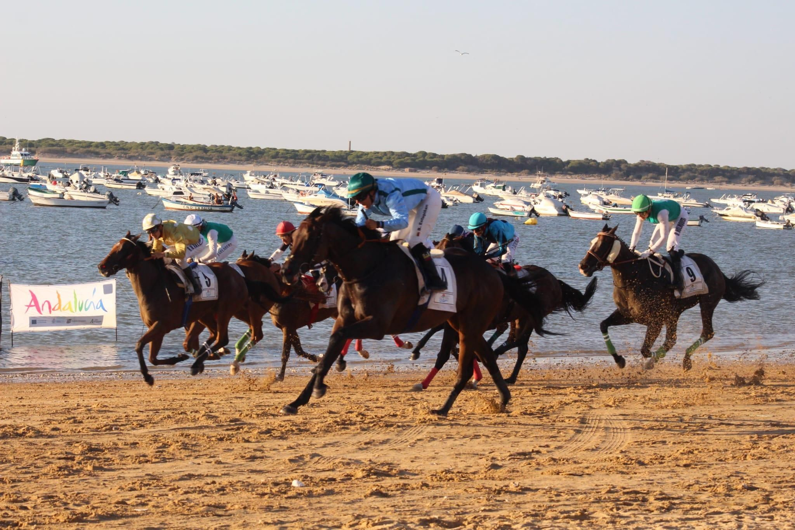 Imágenes del segundo día de Carreras de Caballos de Sanlúcar Imágenes del segundo día de Carreras de Caballos de Sanlúcar