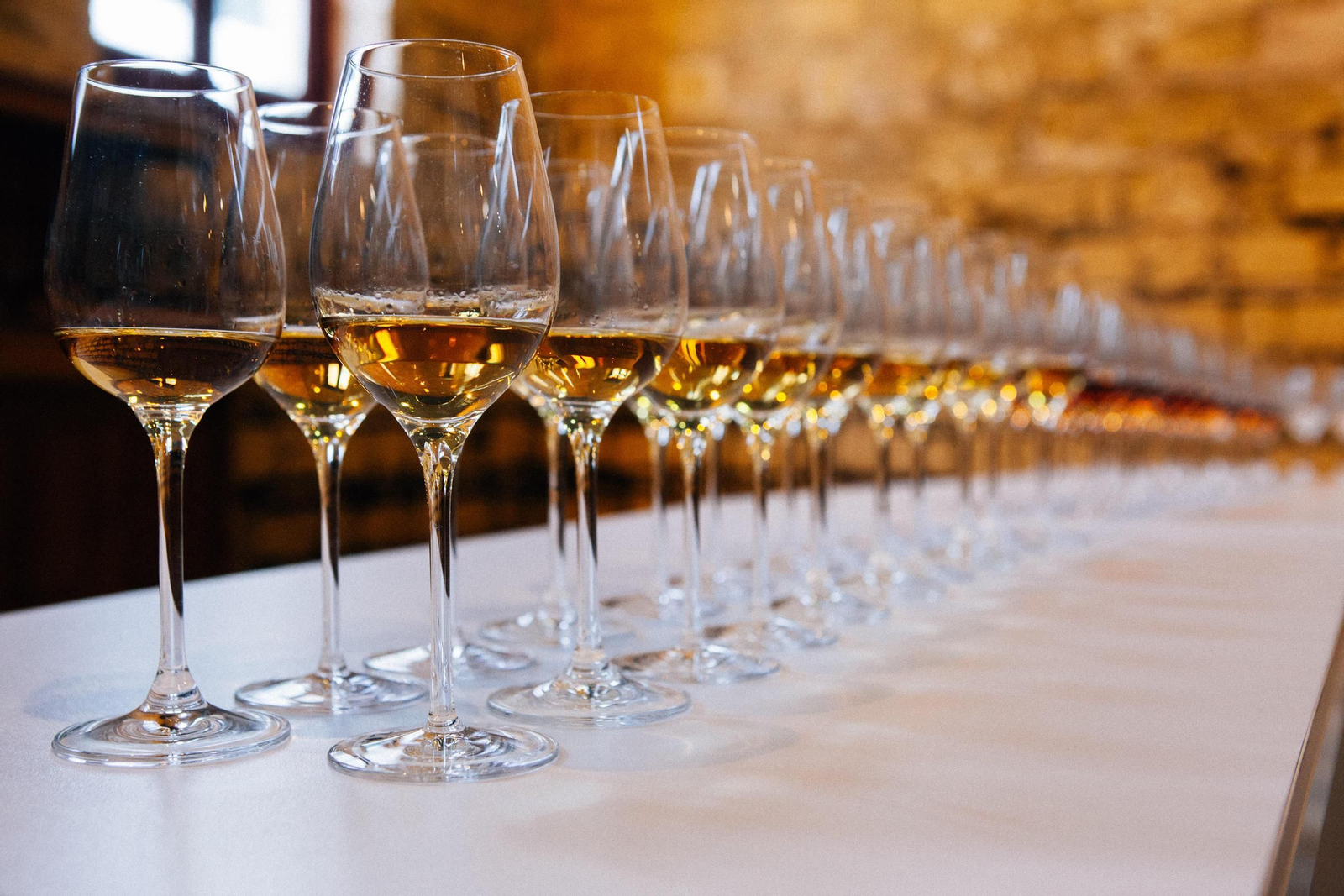 Copas de vino de Jerez dispuestas para una cata en el Alcázar.