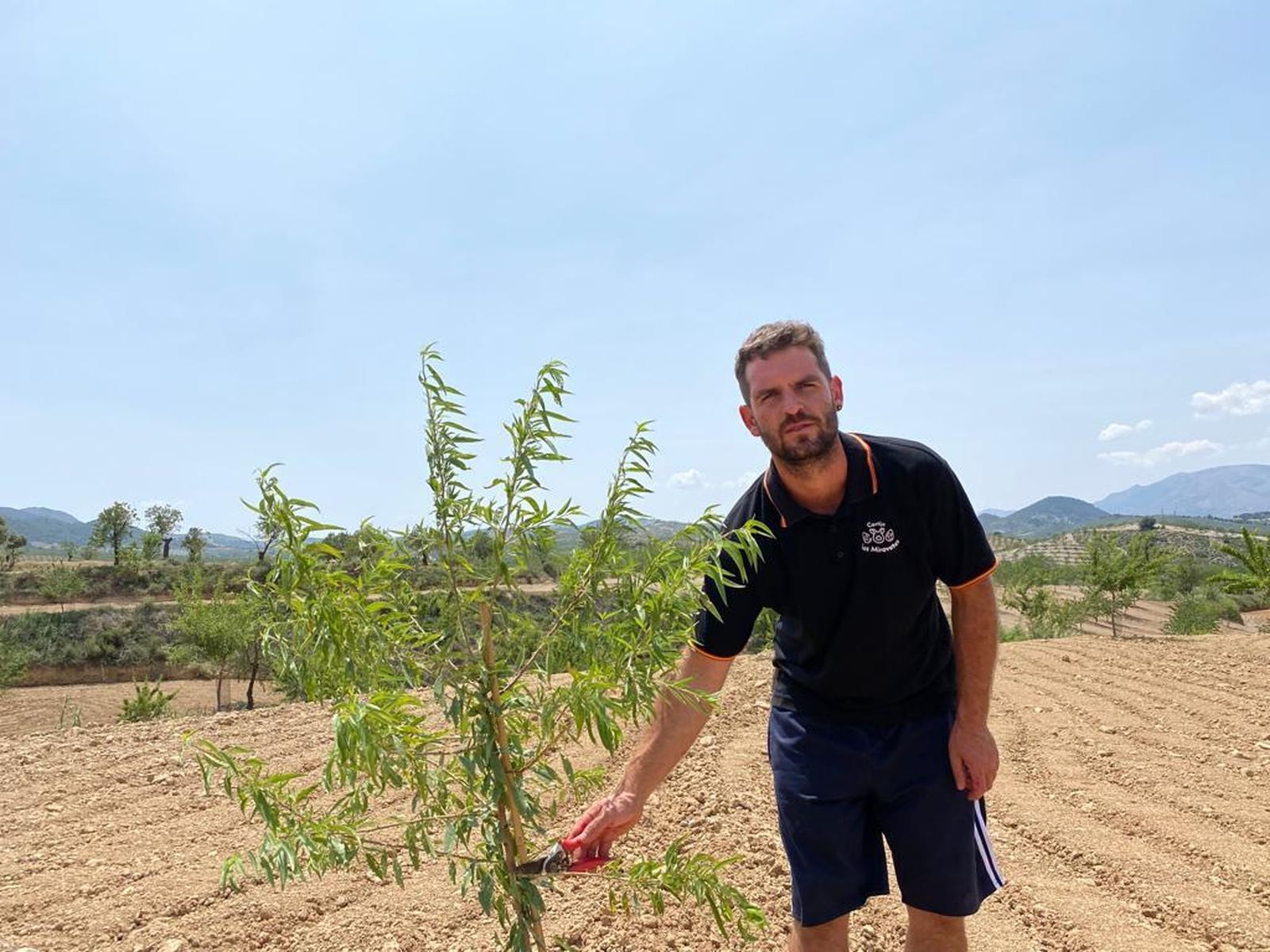 David Miravete en su finca de almendros.