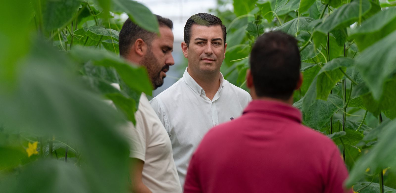 La producción ecológica   imparable en Níjar