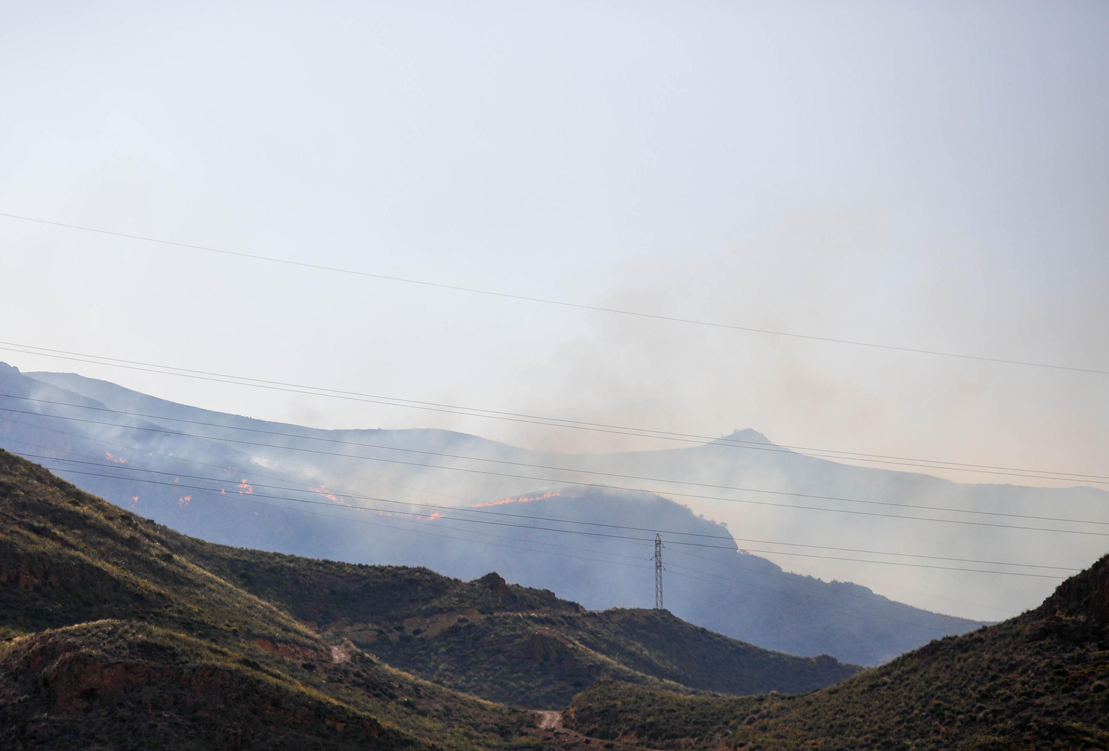 Las imágenes del incendio forestal que avanza en la sierra de Huércal