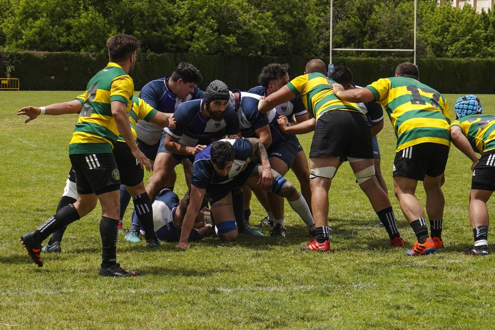 Las mejores fotos del partido del ascenso a División de Honor B de rugby entre Universidad de Granada y Portuense