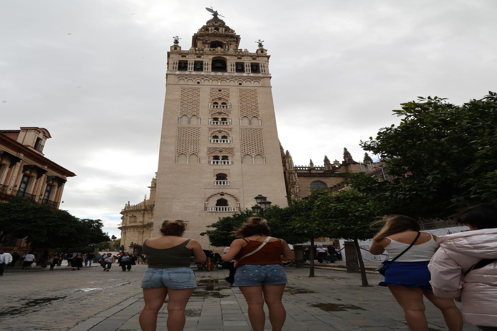 La cara norte de la Giralda.