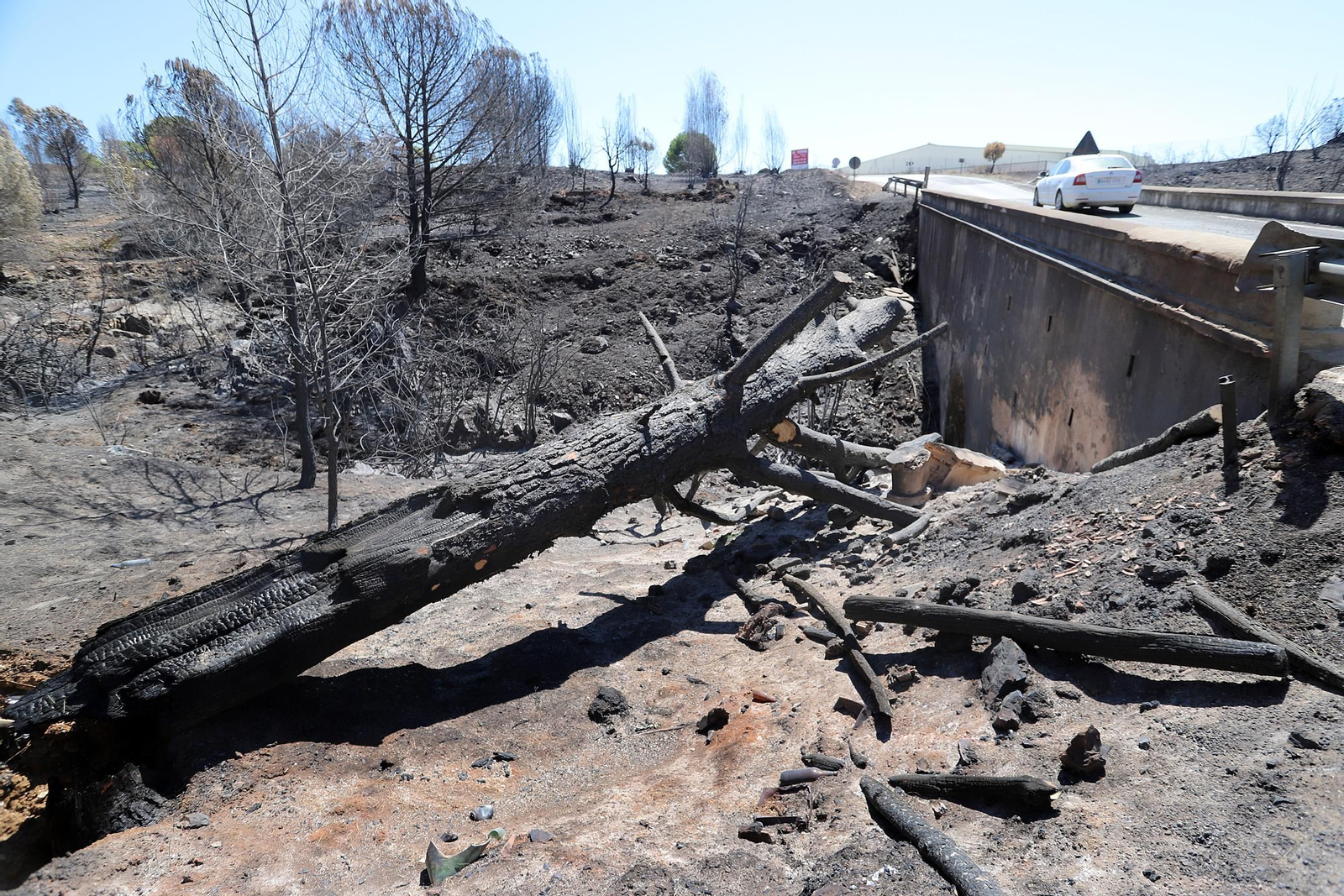 Imágenes de las zonas devastadas por el incendio de Almonaster la Real