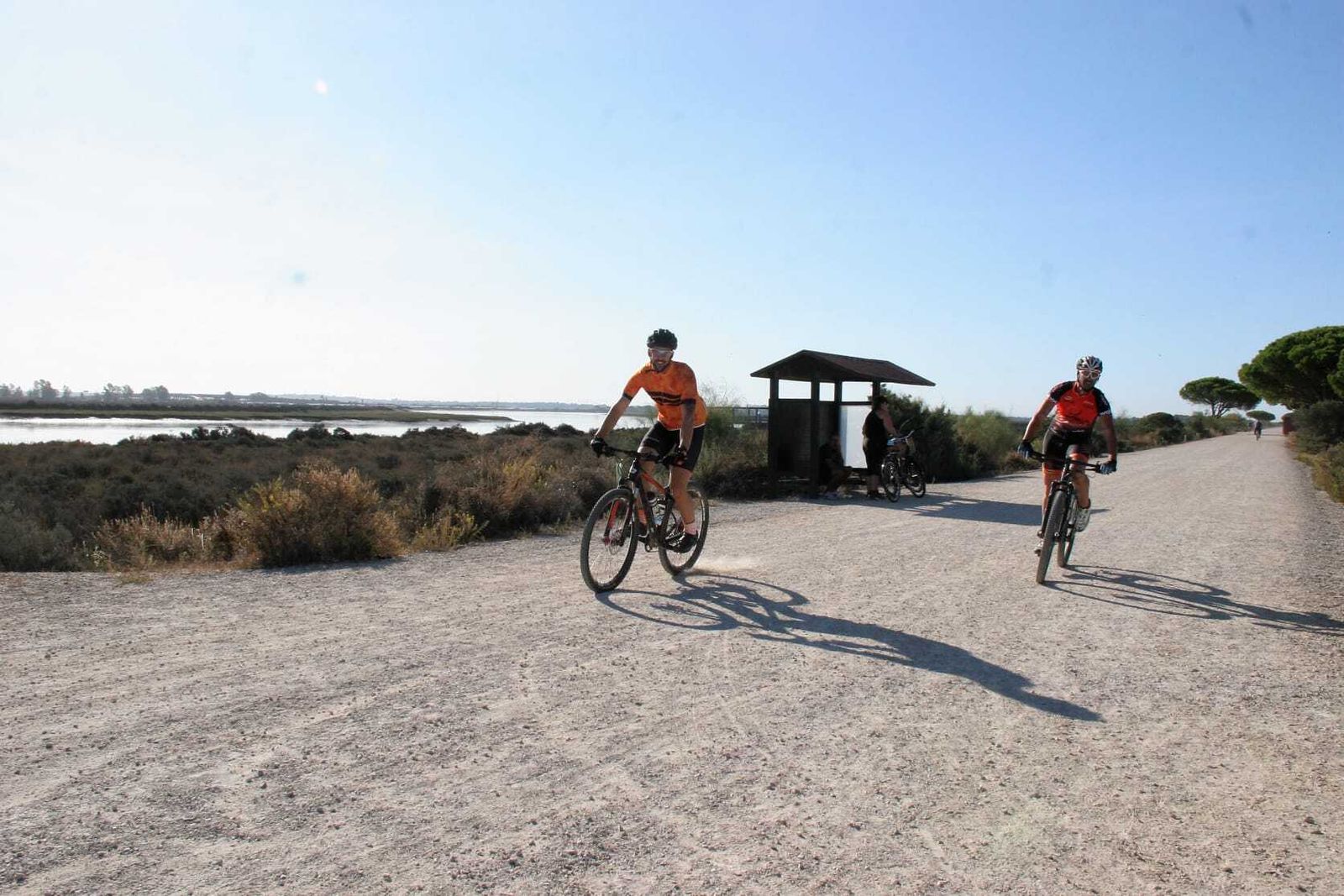 Una imagen del Parque Natural de Los Toruños.
