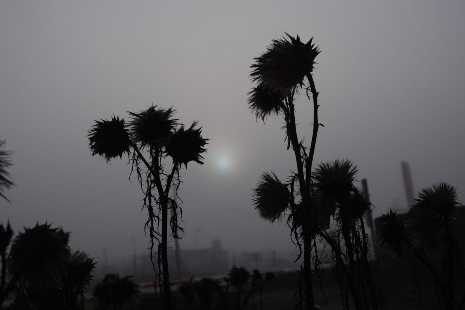 Huelva se tiñe de blanco con la densa niebla de este jueves: espectaculares imágenes de la provincia a primera hora de la mañana