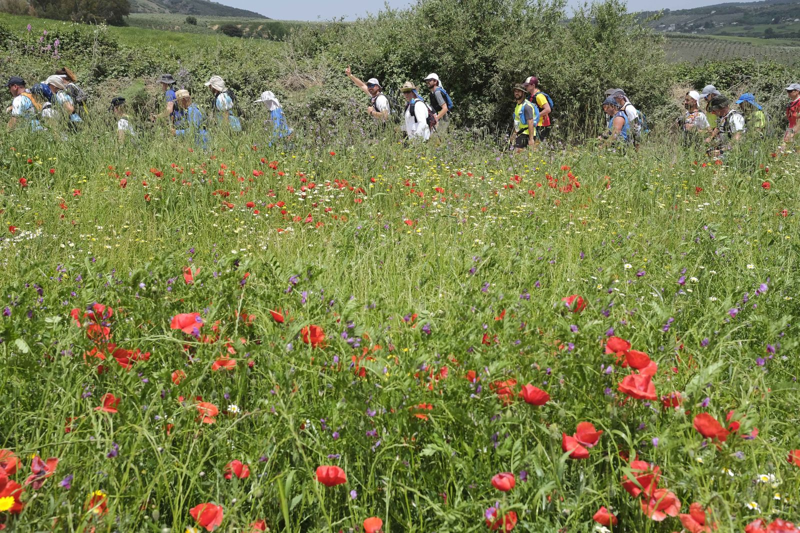 La jornada diurna de los 101, en fotos