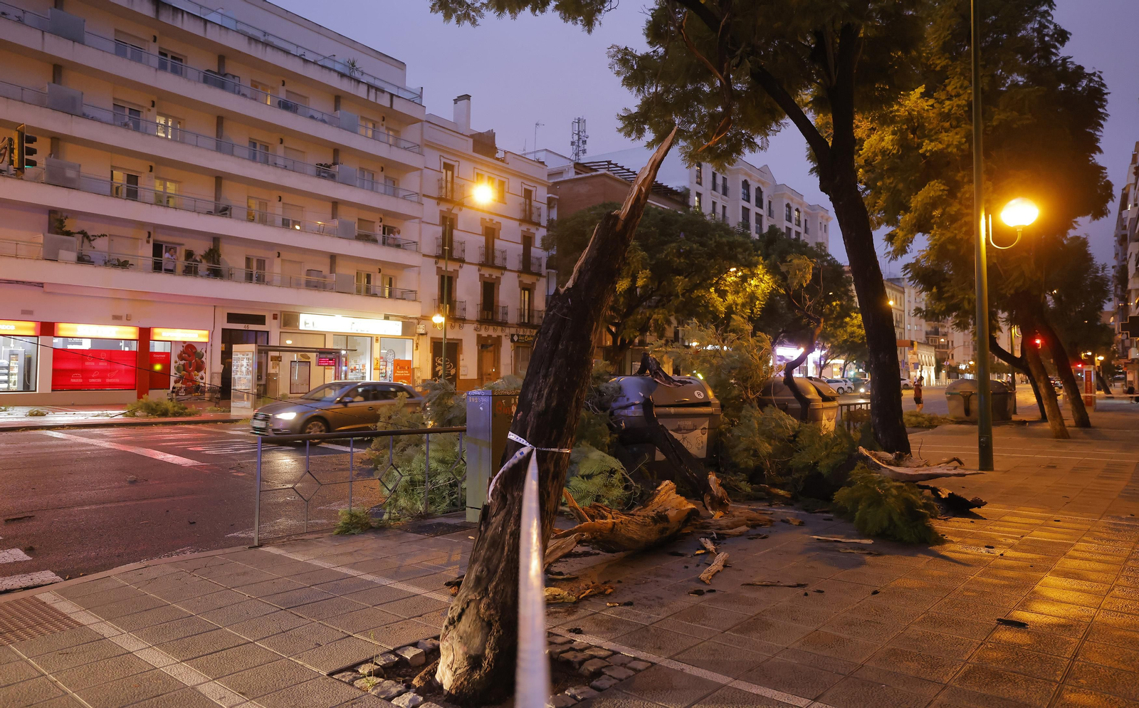Los efectos de la borrasca 'Bernard' en Sevilla, todas las fotos