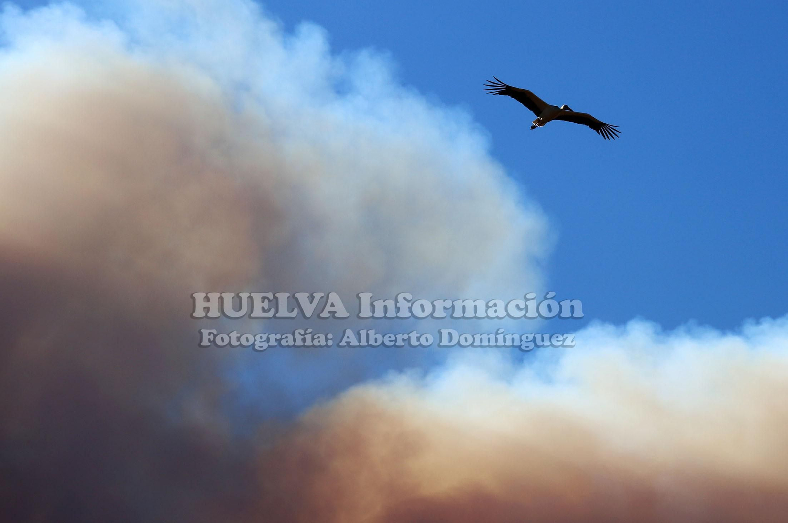 Imágenes del incendio de Fuente de la Corcha