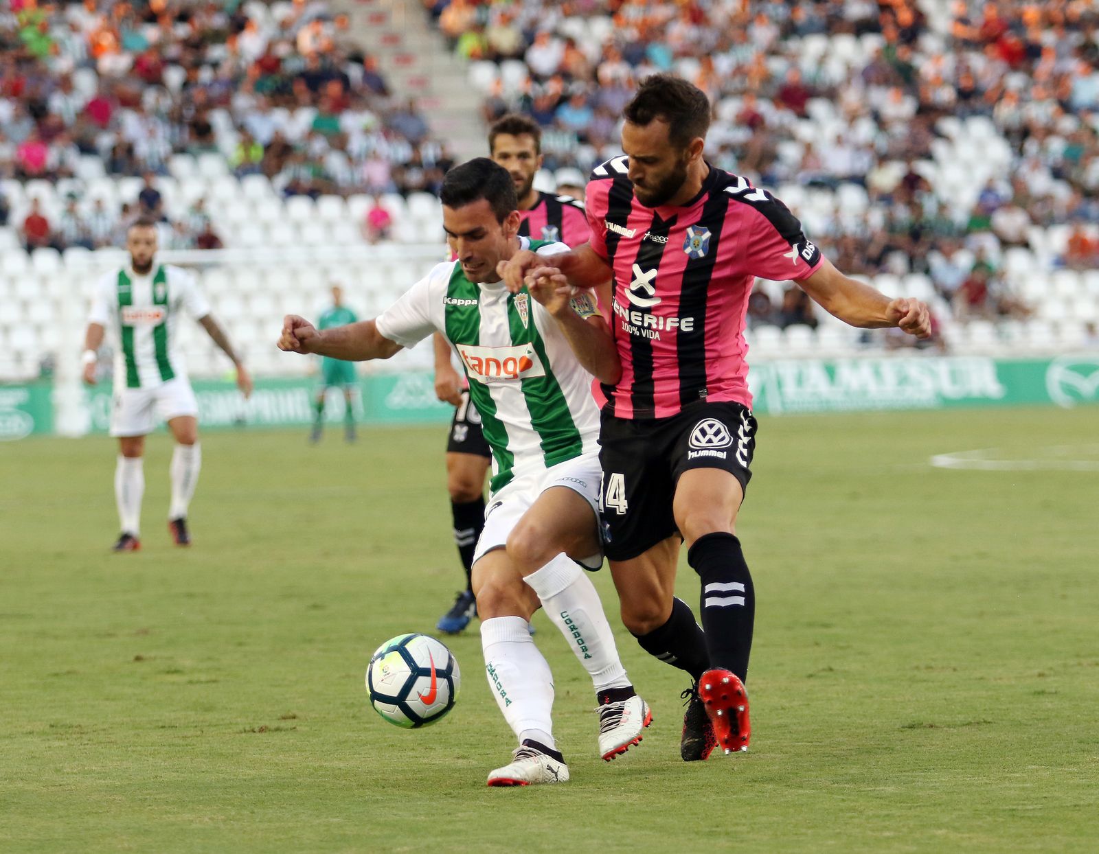 Las imágenes del Córdoba-Tenerife