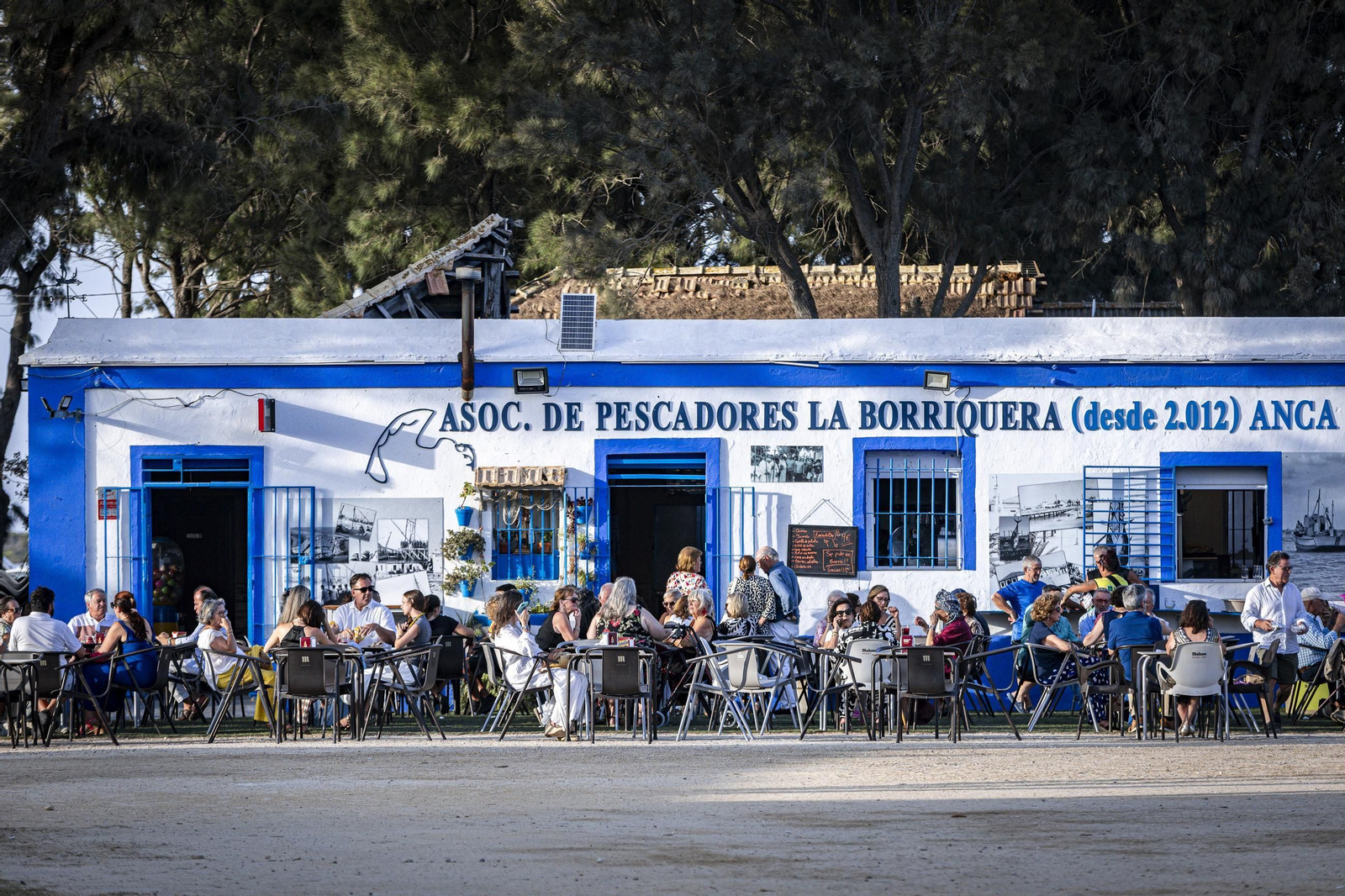 Búscate en las imágenes del concierto de Plácido Domingo en Concert Music Festival en Chiclana