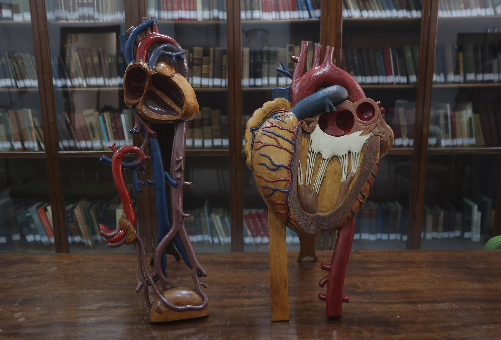 Restauración de esculturas anatómicas usadas con fines docentes entre el siglo XVIII y el XX en la Facultad de Medicina de la US