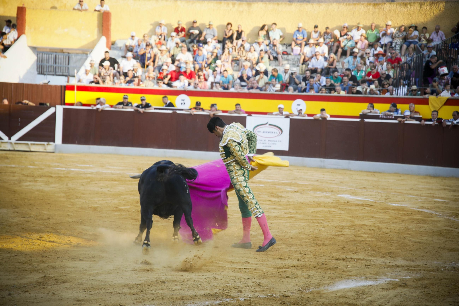 Corrida de toros Berja con un toro indultado, en imágenes