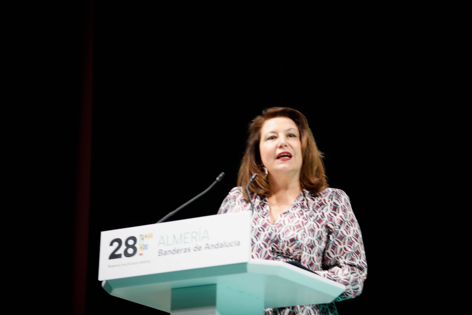 Imágenes de las entregas de las banderas de Andalucía