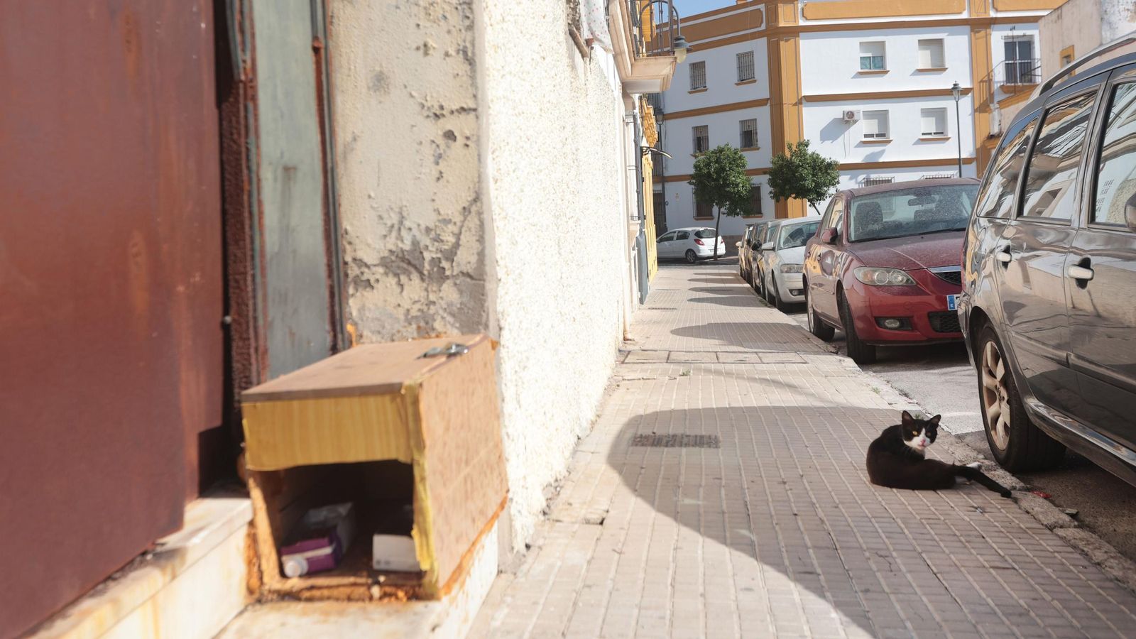 Una 'casa' para gatos, en una calle aledaña a Empedrada.