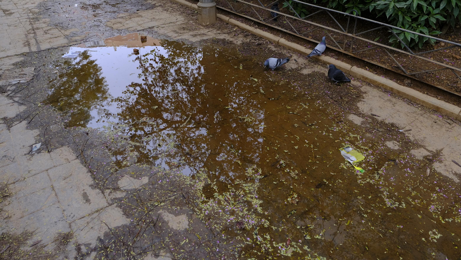 Fotogalería lluvia de barro en Almería