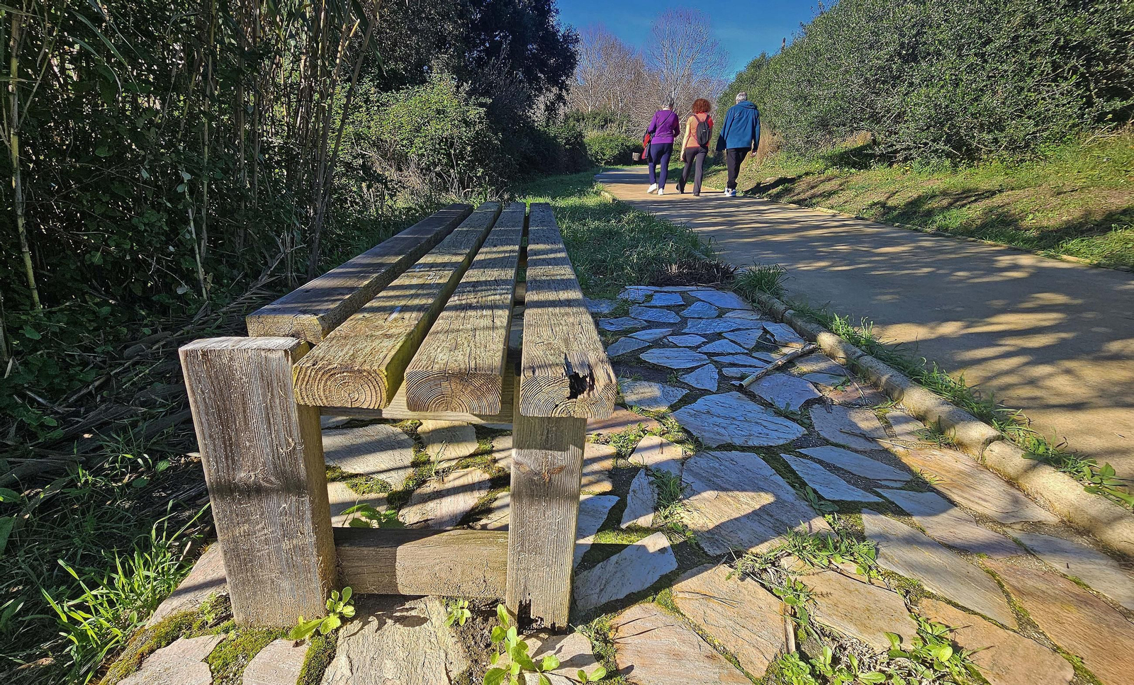 Fotos de los desperfectos en el sendero del parque fluvial del río Pícaro en Algeciras