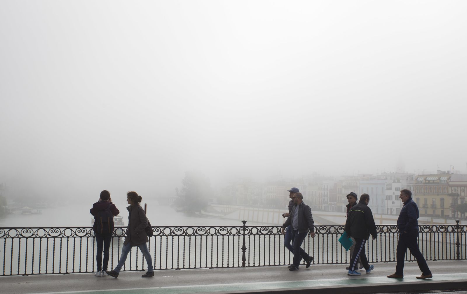 Mañana con niebla en Sevilla