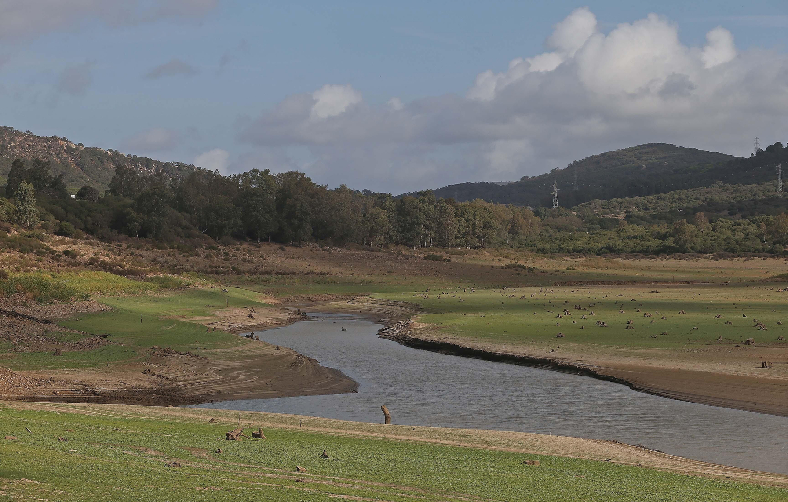 Imágenes del pantano de Charco Redondo en Los Barrios