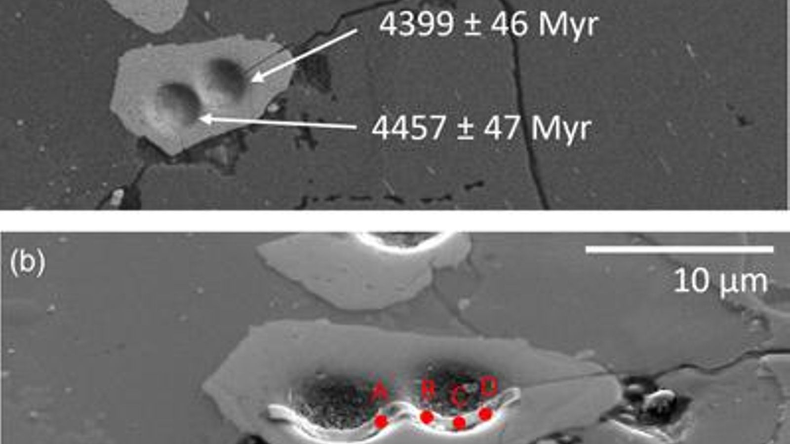Figura incluida en el estudio