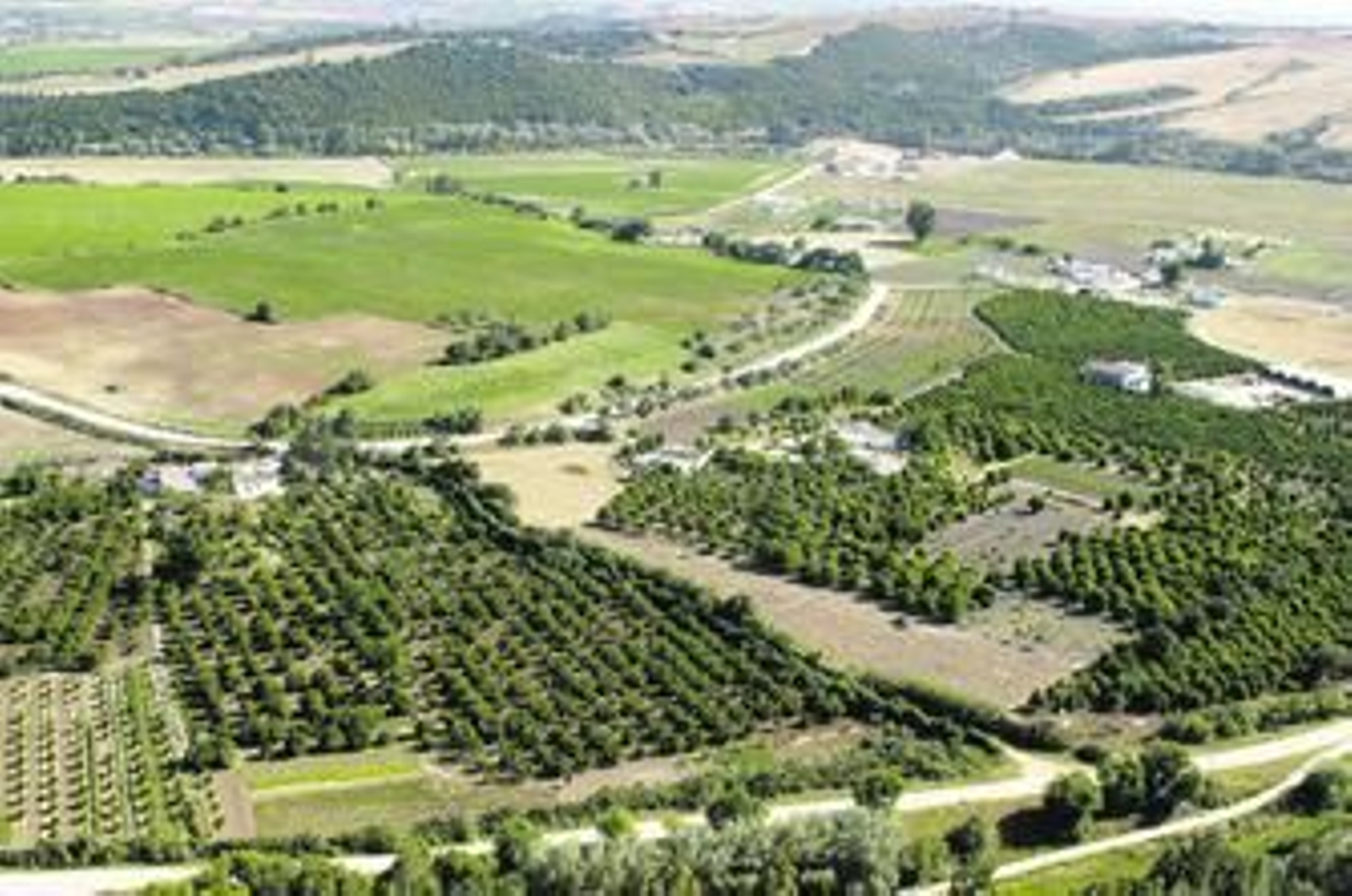 Vista de la zona donde se pretendía construir el hotel.