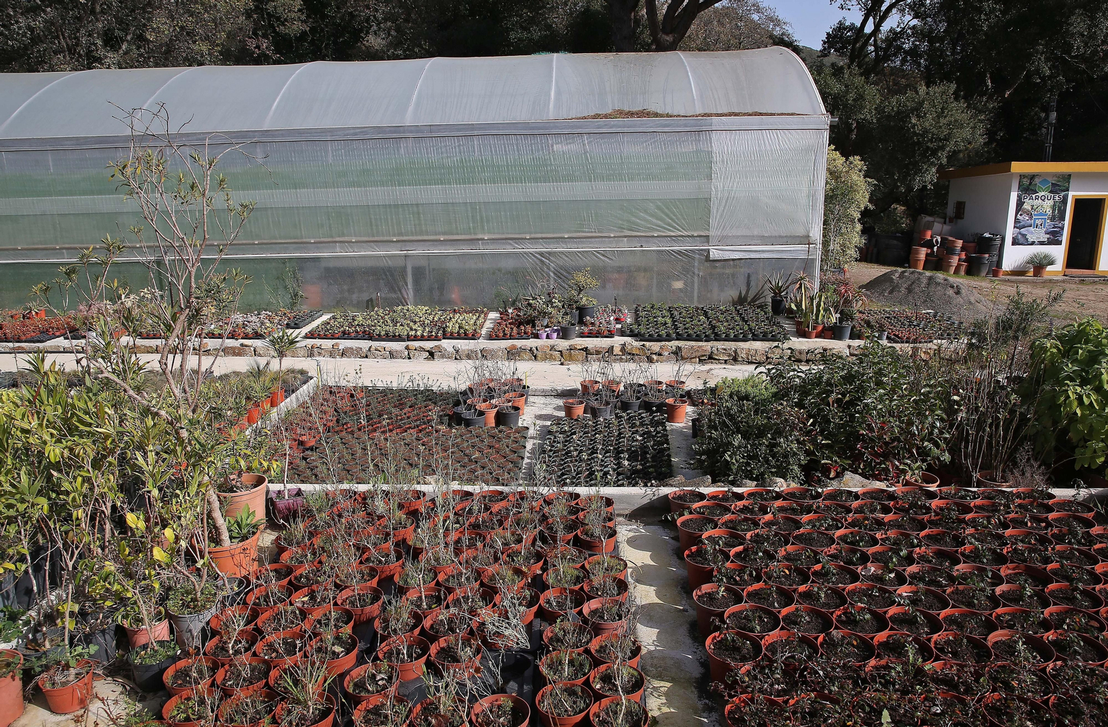 Fotos del vivero municipal de Algeciras