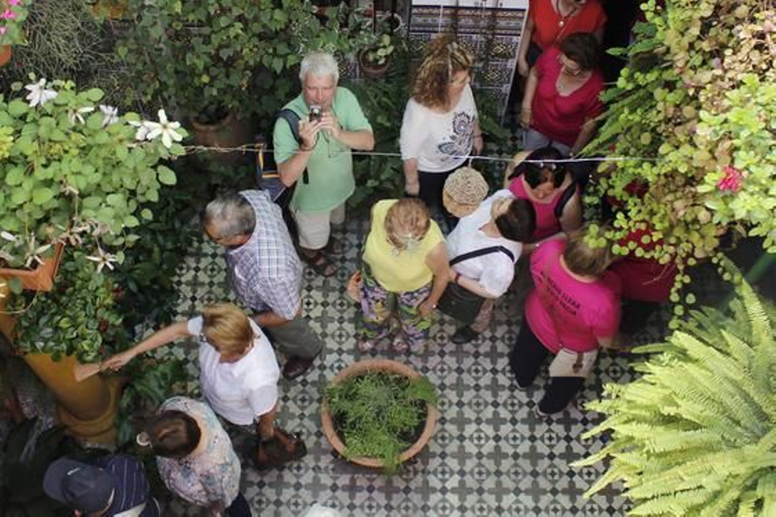 Alfonso XII 29.

Foto: Alex Gallegos / Macarena Gassin