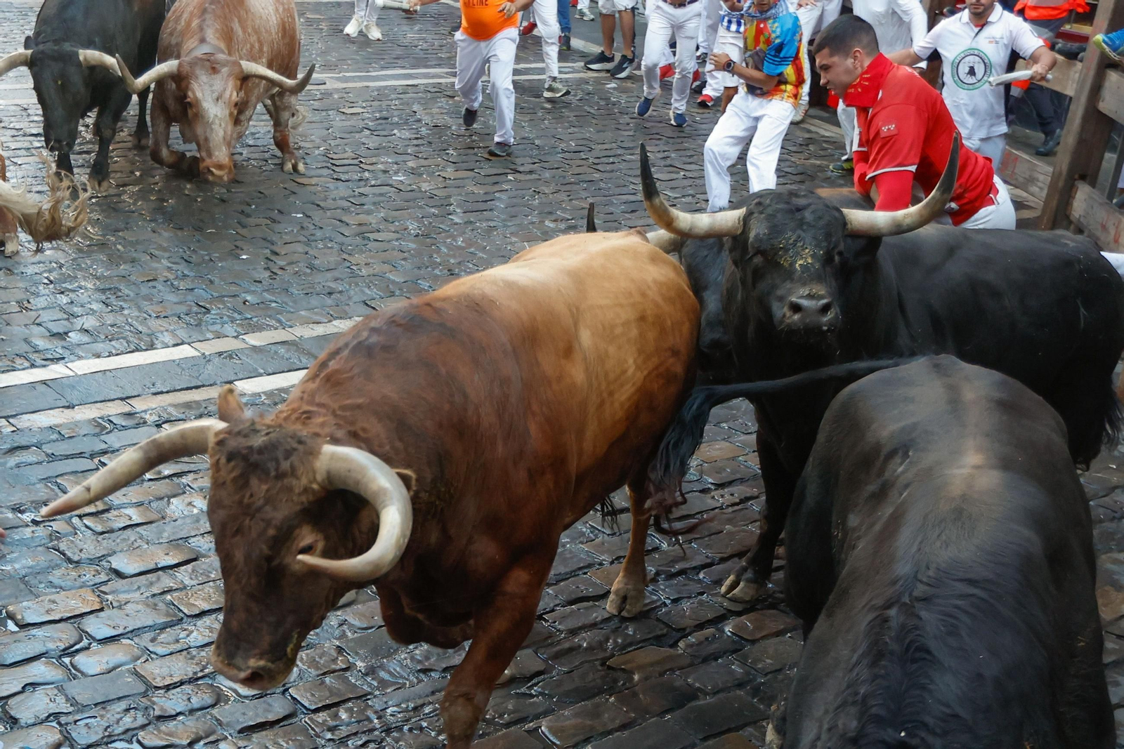 La bravura de Tarifa se hace notar en Pamplona: tres heridos en un encierro con toros de La Palmosilla