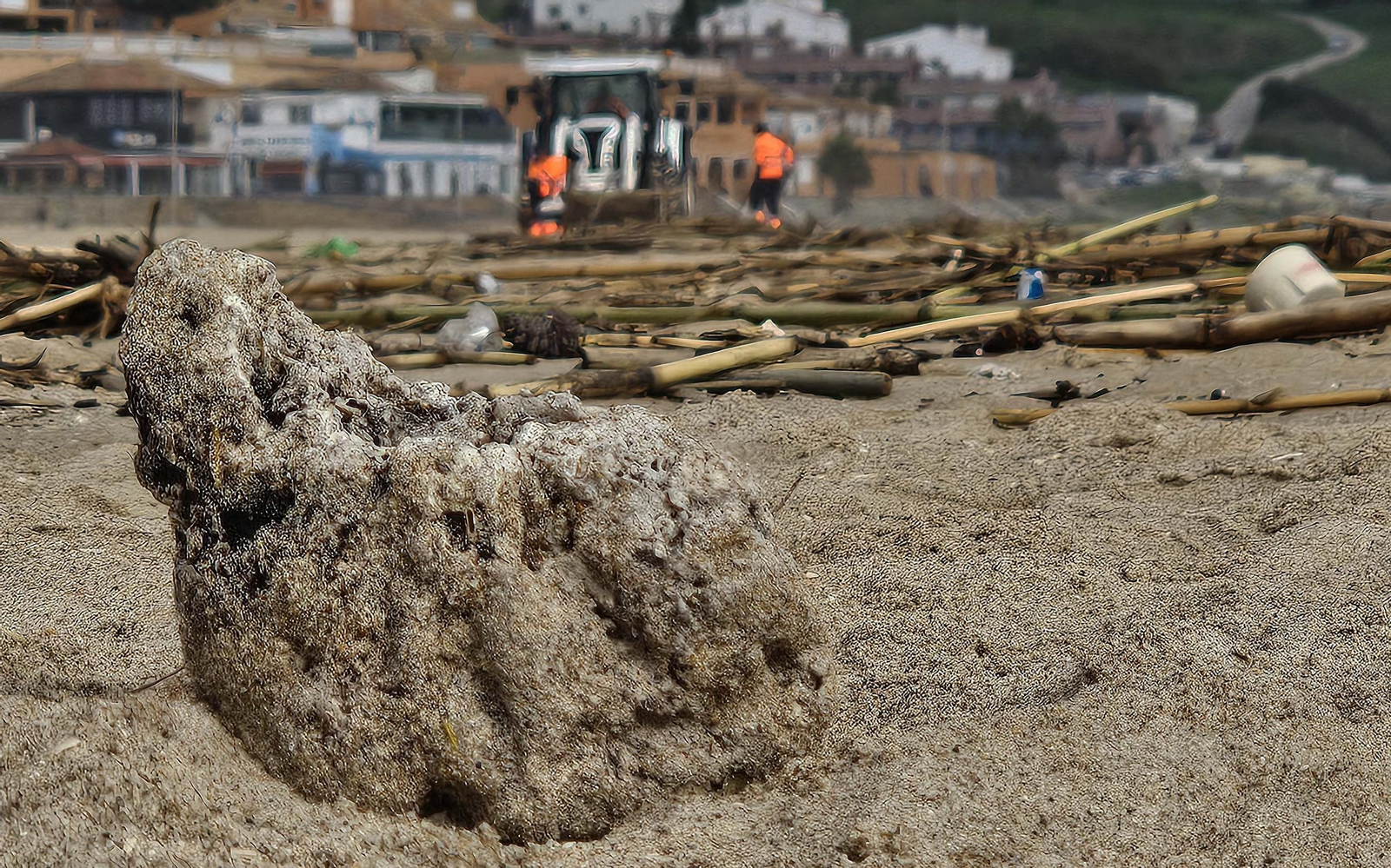 Fotos de la limpieza de las bolas blancas en la playa de Getares en Algeciras