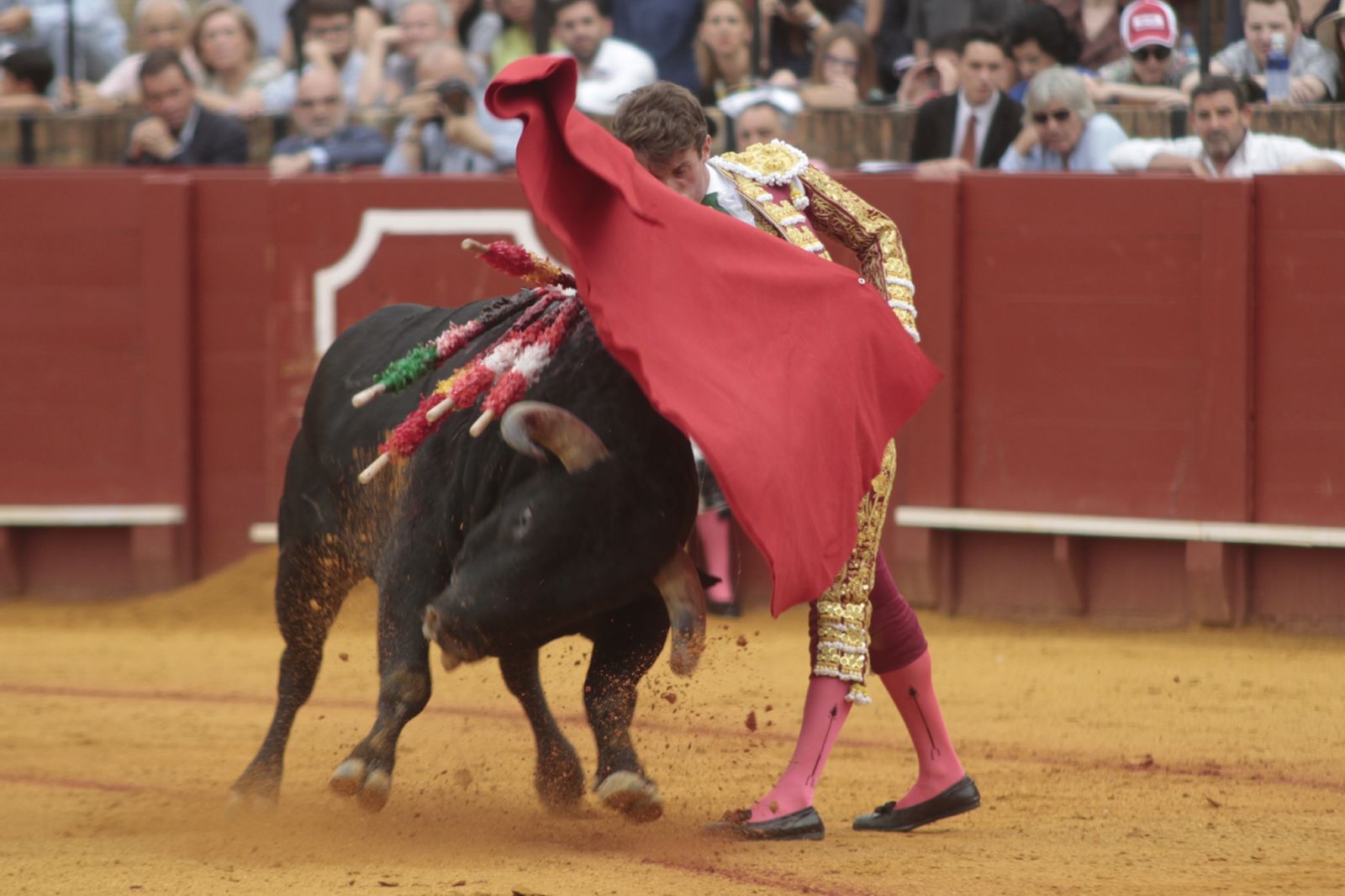 Las imágenes de la decimosexta de abono de La Maestranza