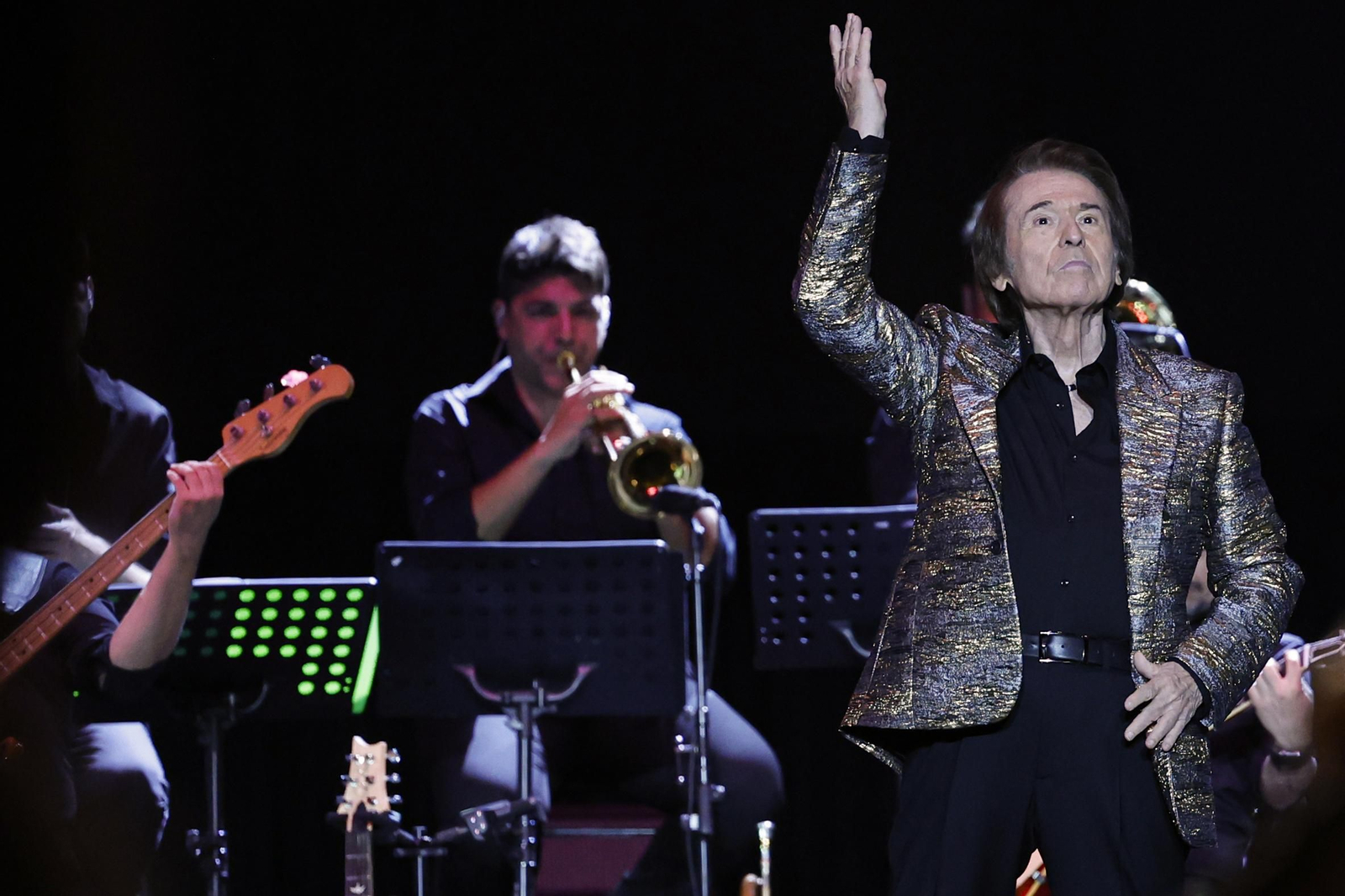 Raphael en uno de los conciertos de su gira 'Victoria' Raphael en uno de los conciertos de su gira 'Victoria'