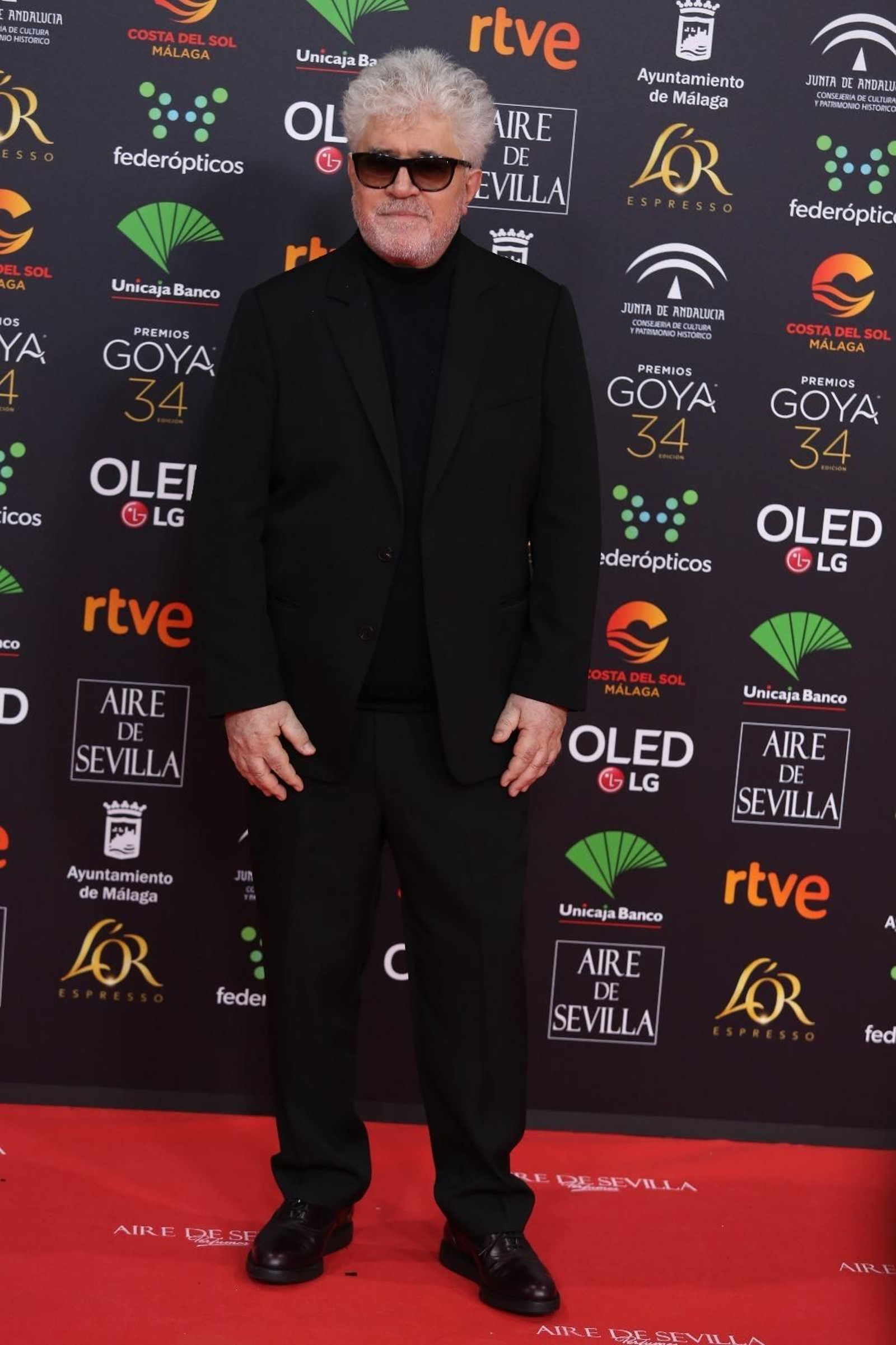 La alfombra roja de los Goya 2020 en Málaga