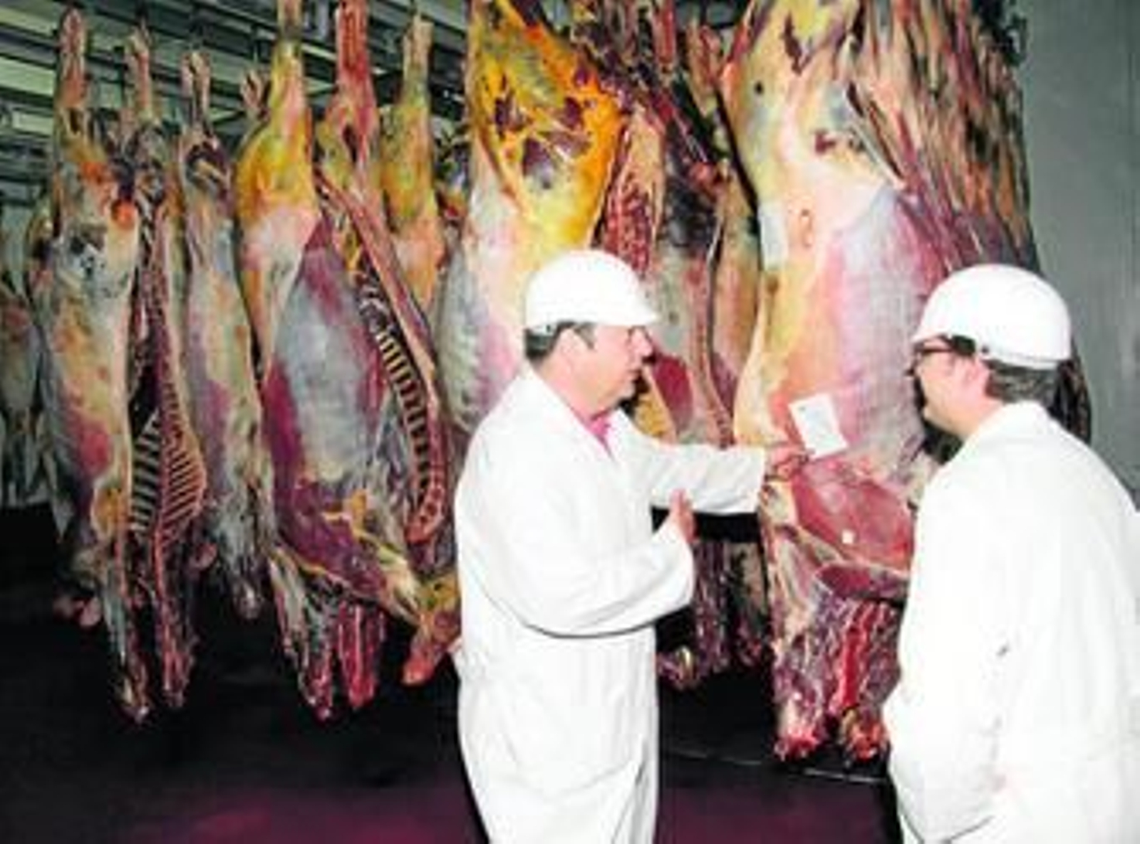 El gerente y el veterinario del matadero inspeccionan la carne.