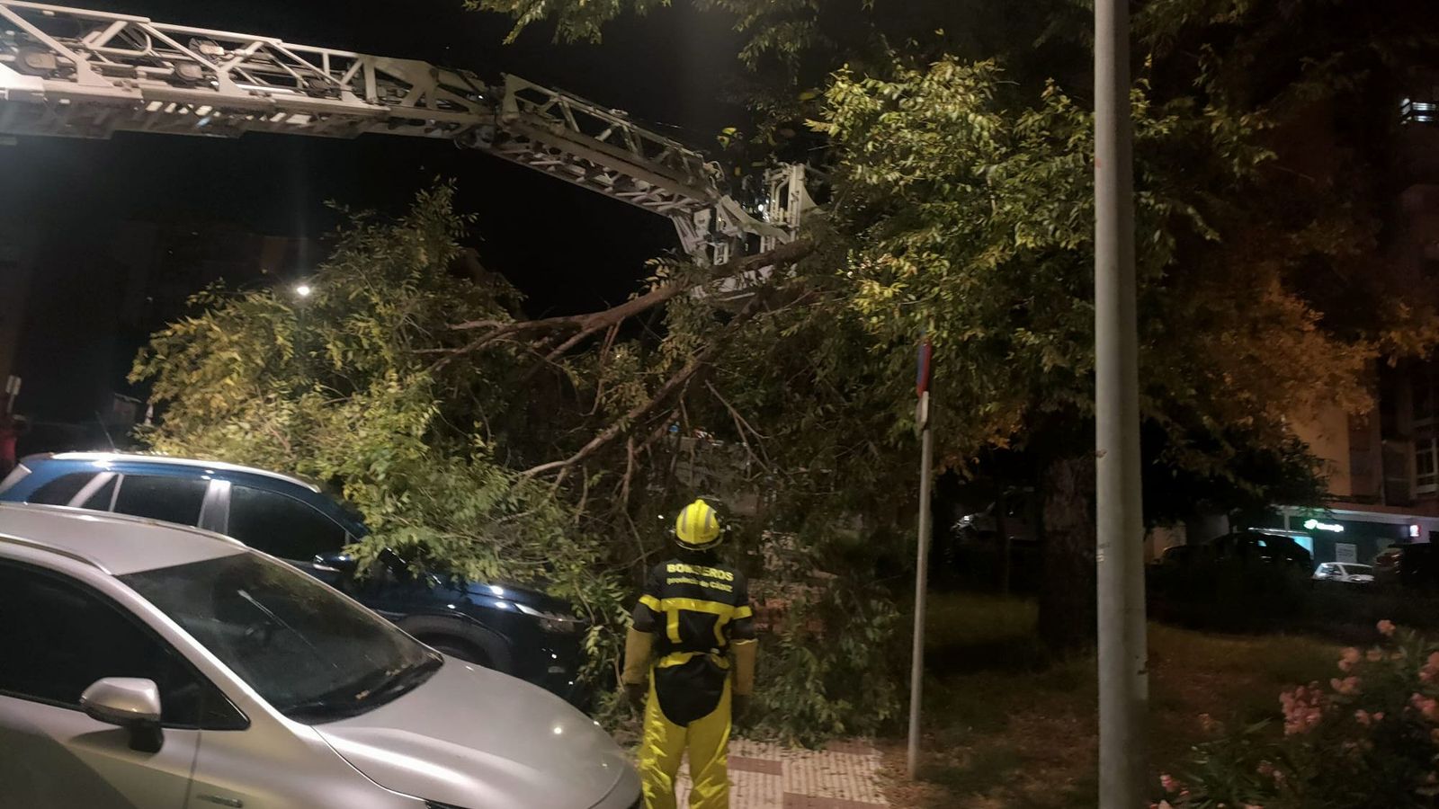 Caída de una gran rama sobre dos vehículos estacionados y parte de la acera en San José Artesano, en Algeciras.