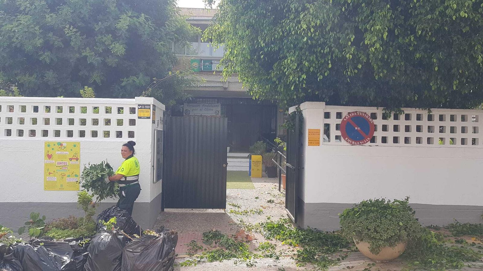 Operarios de Parques y Jardines realizan labores de limpieza de la vegetación del colegio San Ignacio.