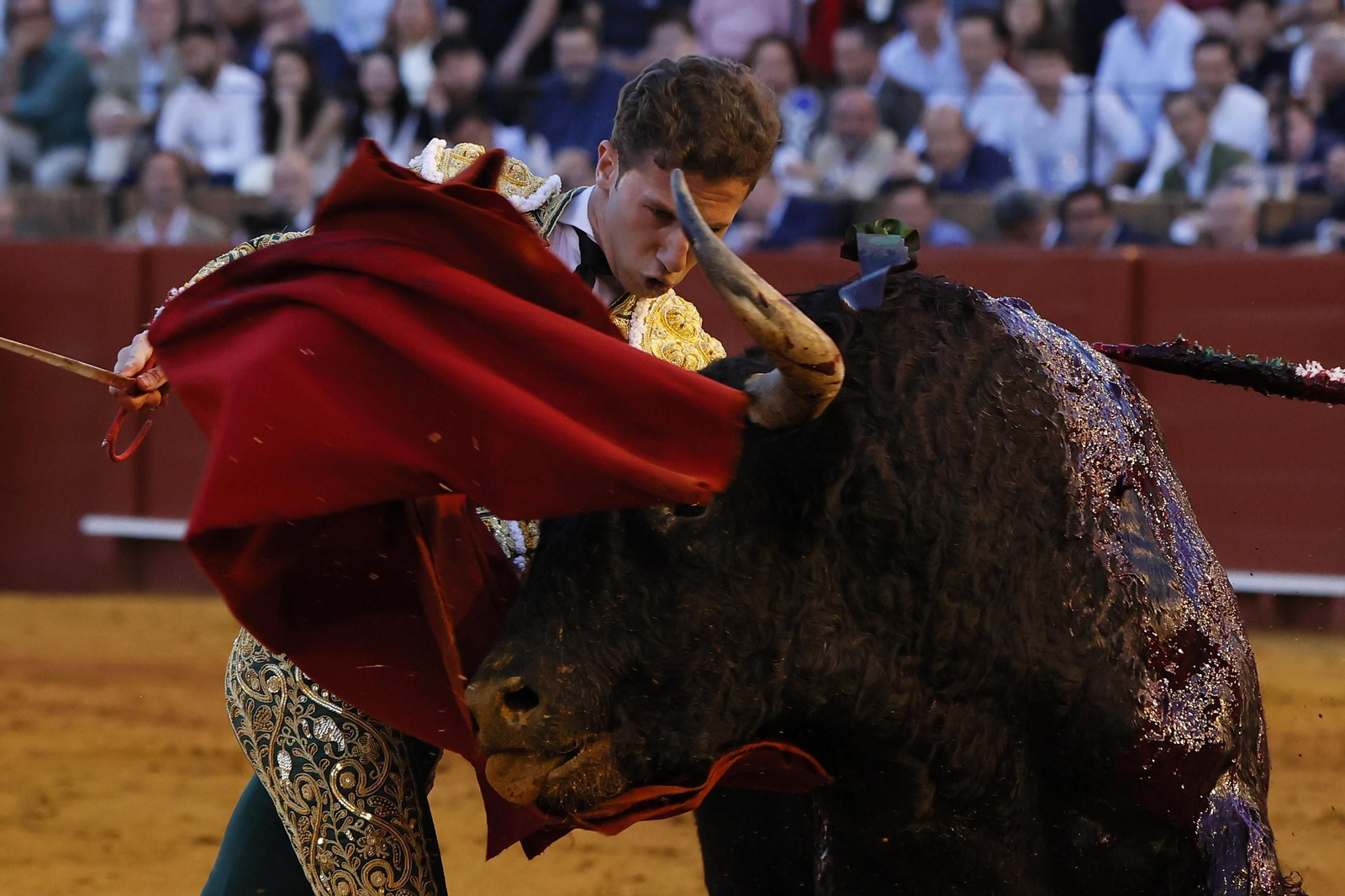 Las imágenes del festejo
